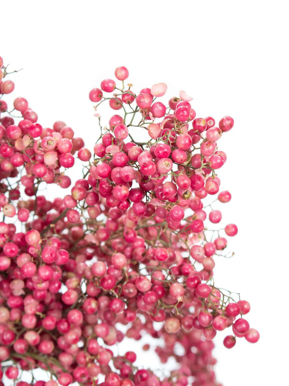 blumigo-trockenblumen-pfefferbeeren-rosa-bund image 1