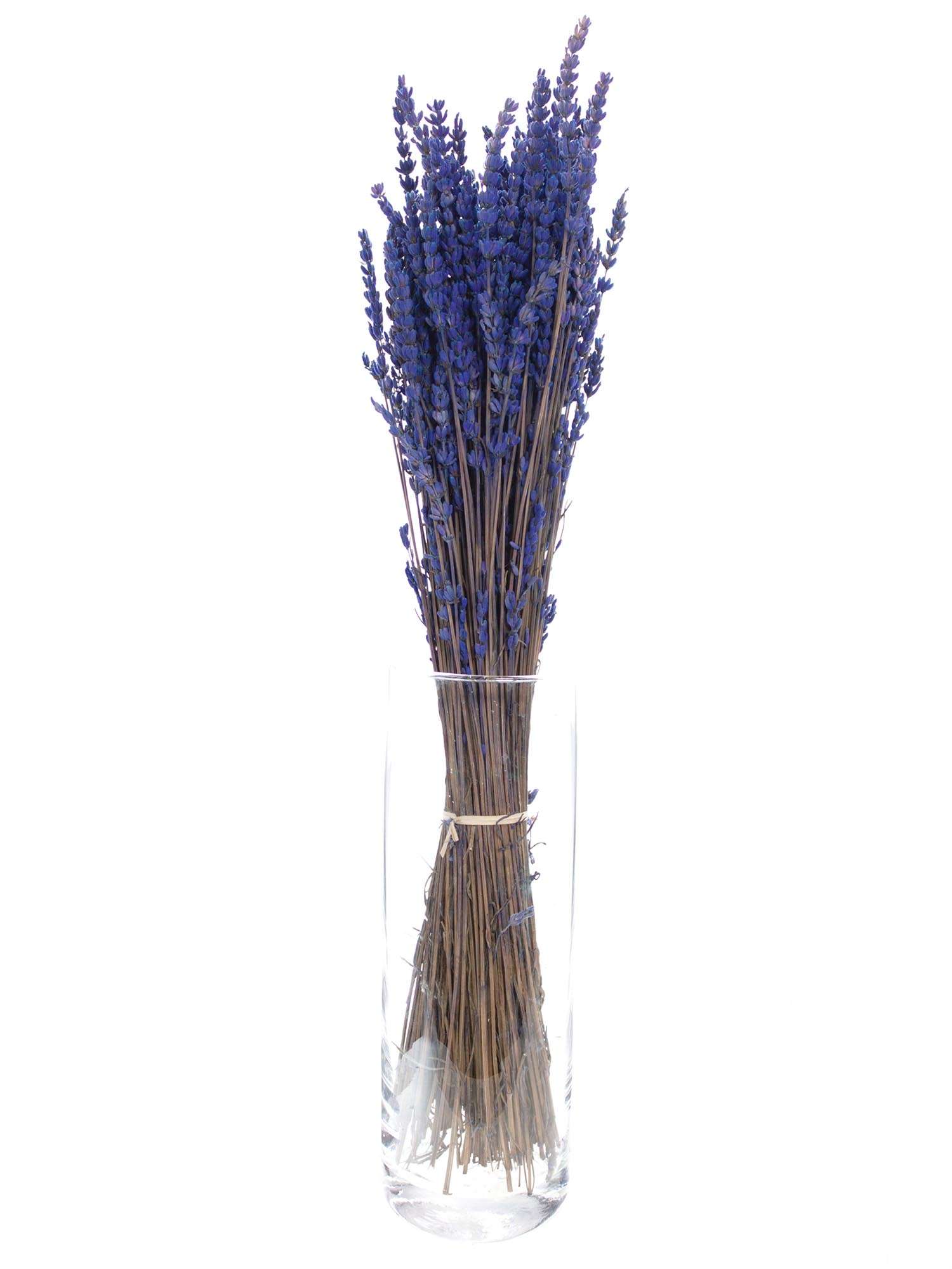blumigo-trockenblumen-lavendel-trockenstrau-blau-duftend image 2