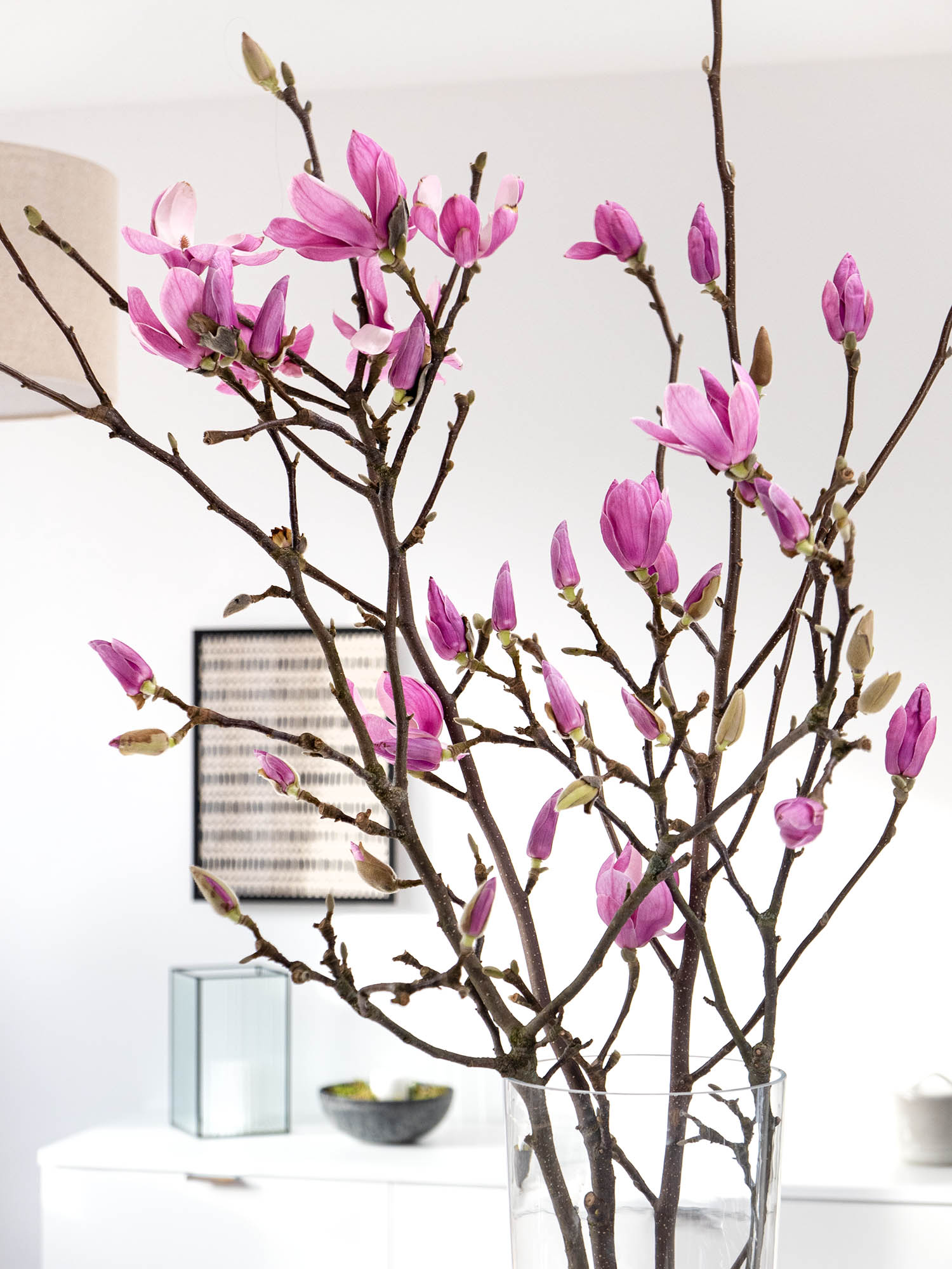 blumigo-zweige-magnolienzweige-rosa-wei-bl-hzweige image 1