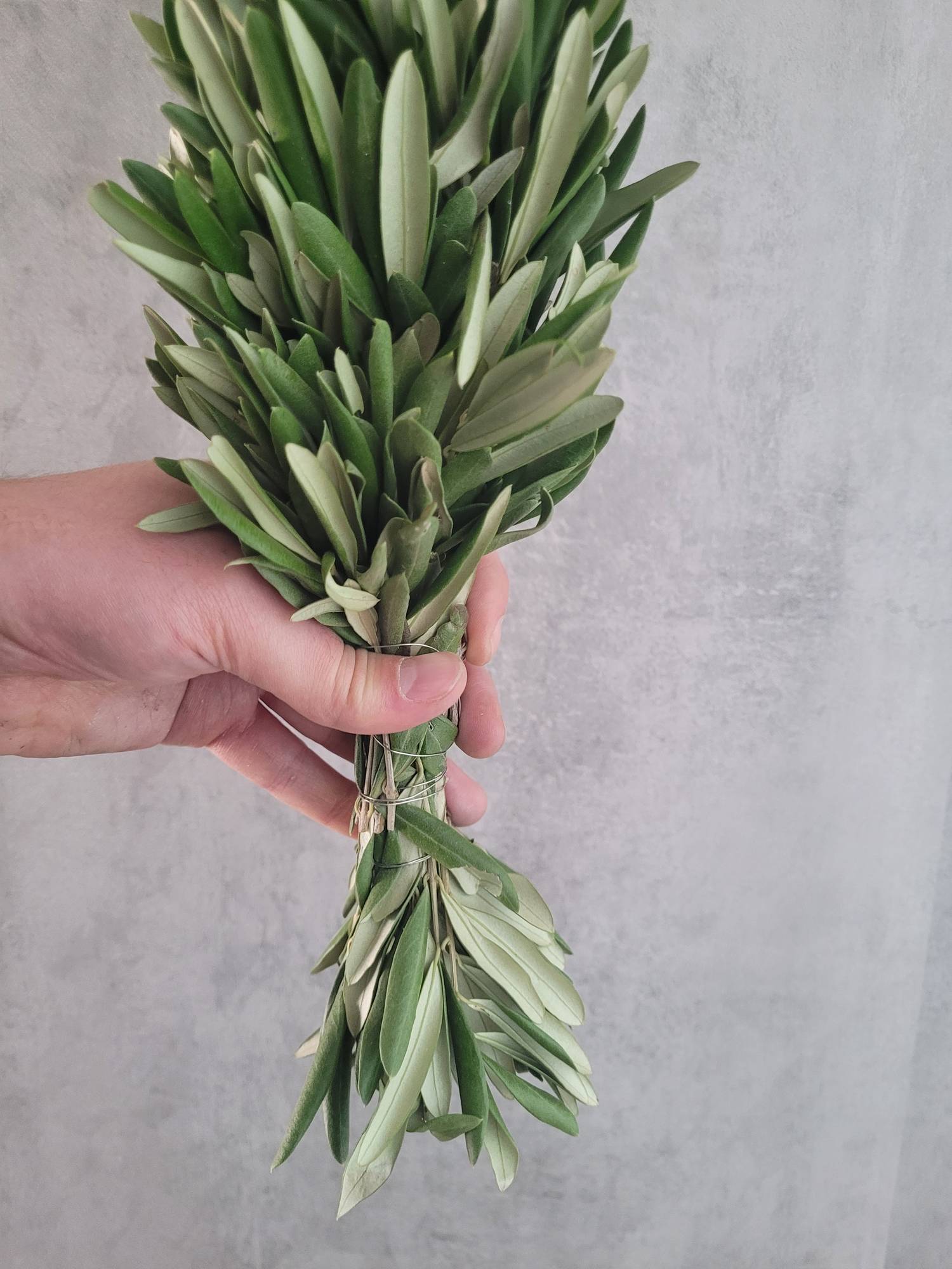 blumigo-exklusives-greenery-zierleiste-olivengr-n-80-cm image 3