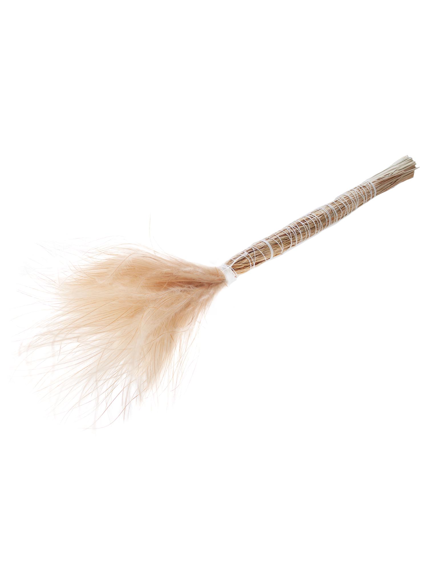 blumigo-trockenblumen-stypha-penata-trockengras-natur image 3