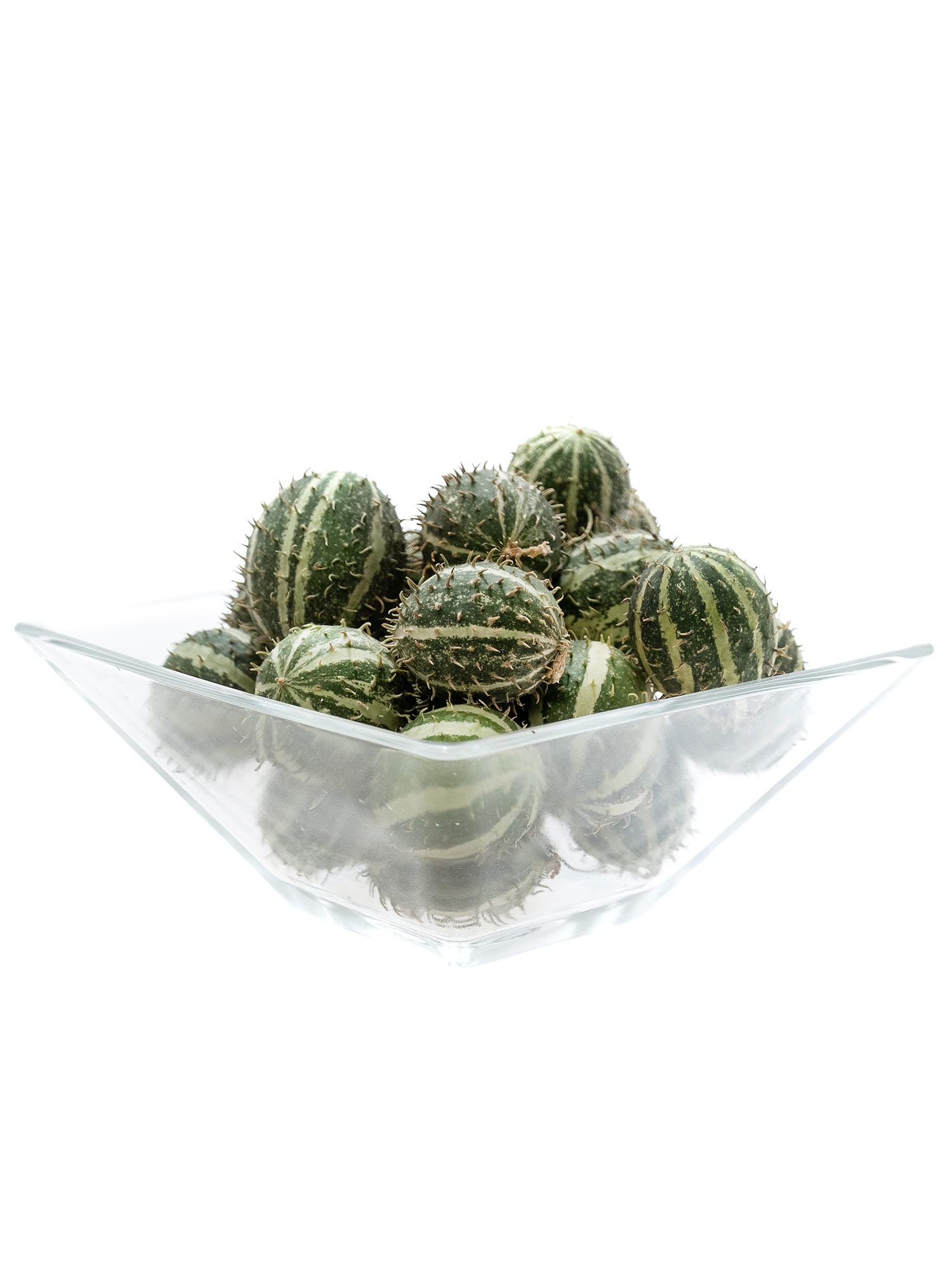 blumigo-cucumis-mirio-ziergurken-mini-gr-n-gestreift image 4