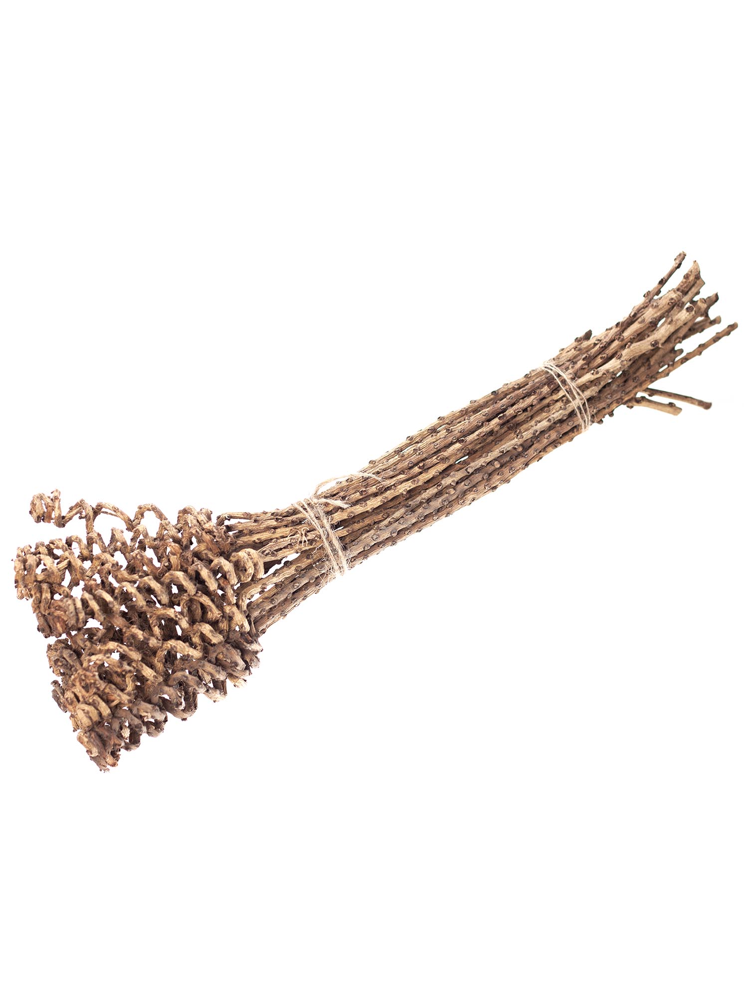 blumigo-trockenblumen-tail-spring-rohrkegel-trockendeko-natur-braun image 4