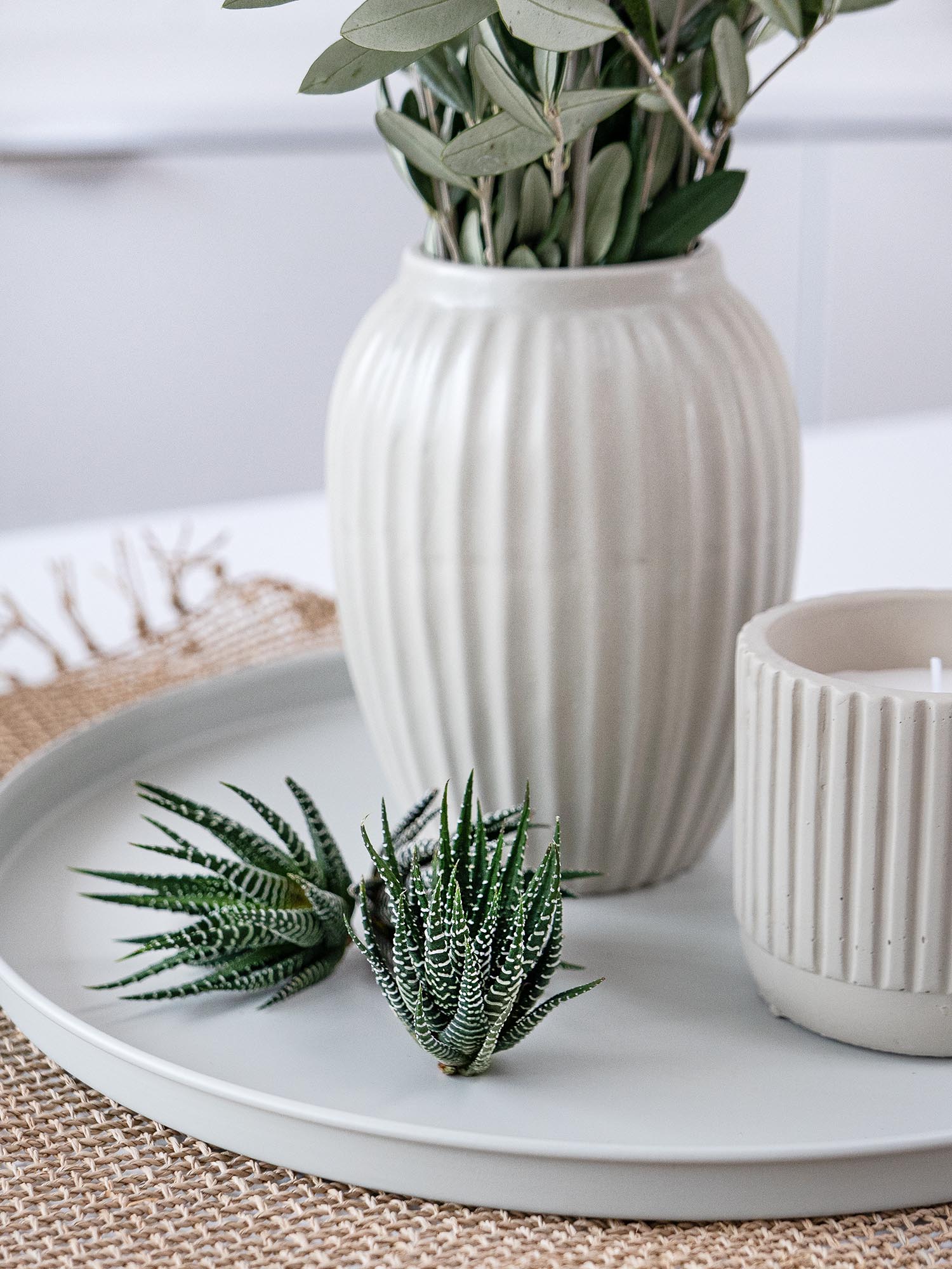 blumigo-blattwerk-sukkulenten-haworthia-fasciata-gr-n-wei image 6