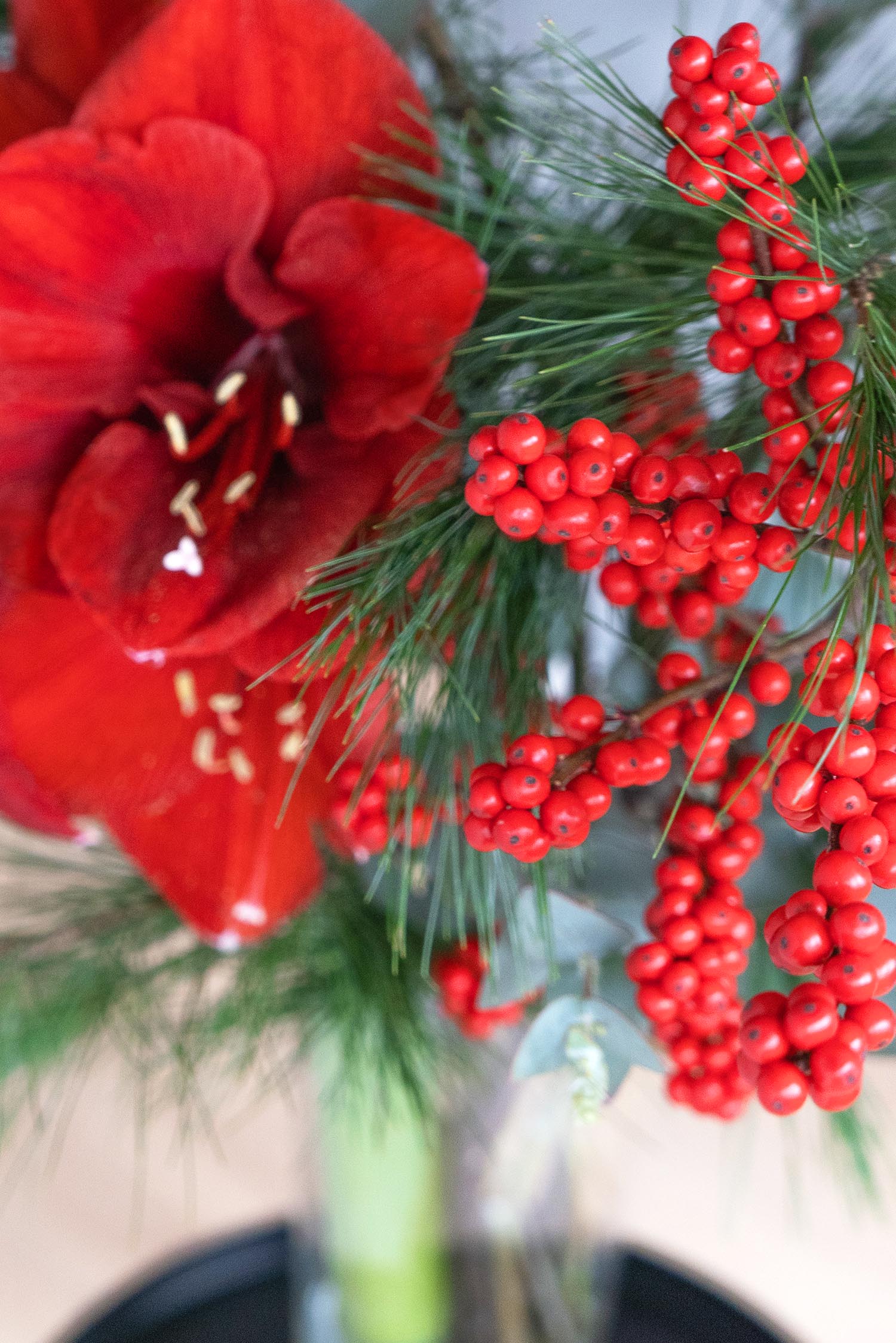 blumigo-berraschungsmixe-velvet-christmas-bouquet-strau image 4