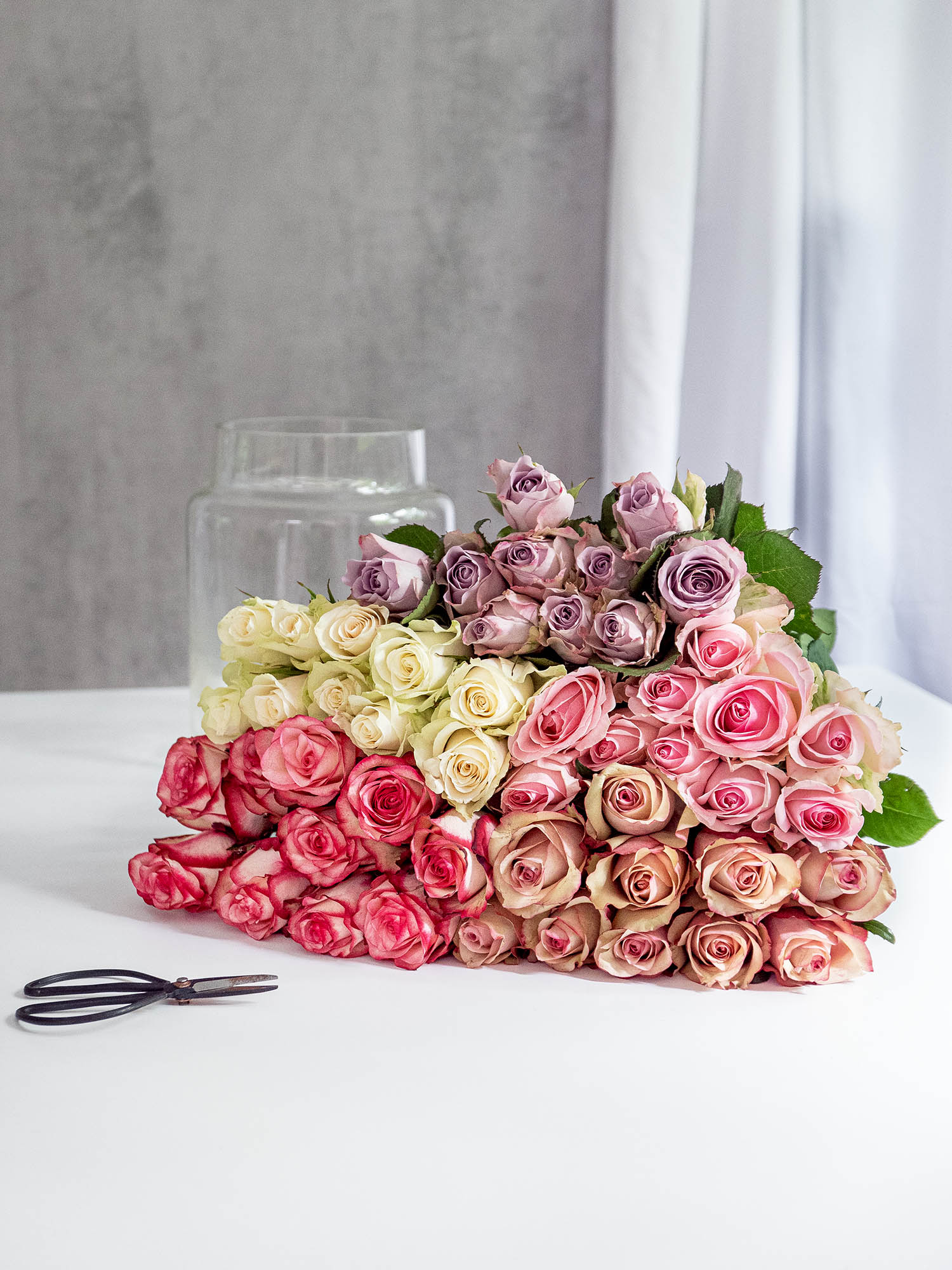 blumigo-maxi-rosen-berraschungsmix-50-stiele-gemischt image 3