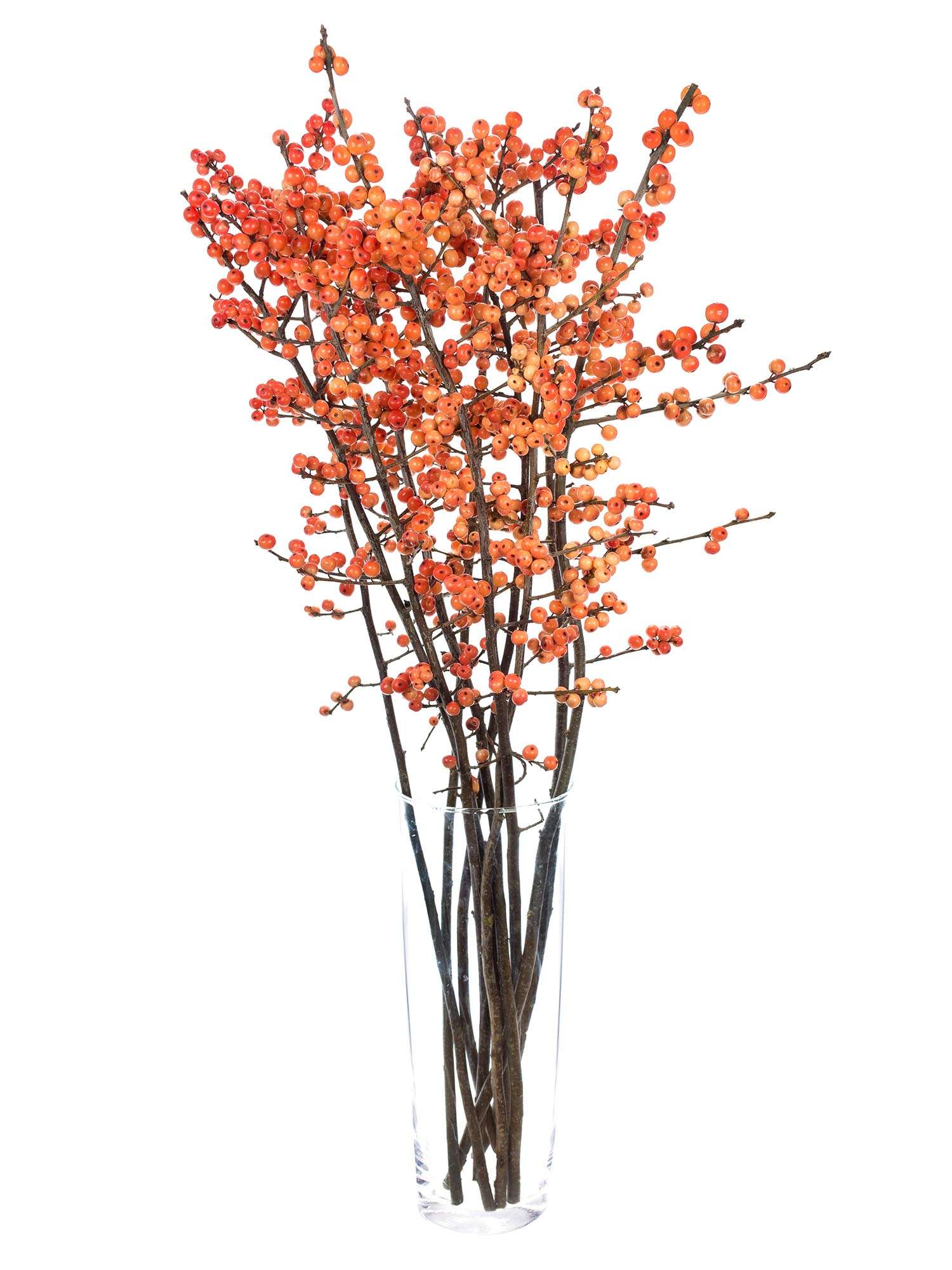 blumigo-zweige-ilex-oudj-orange-schnittzweig-orange image 2
