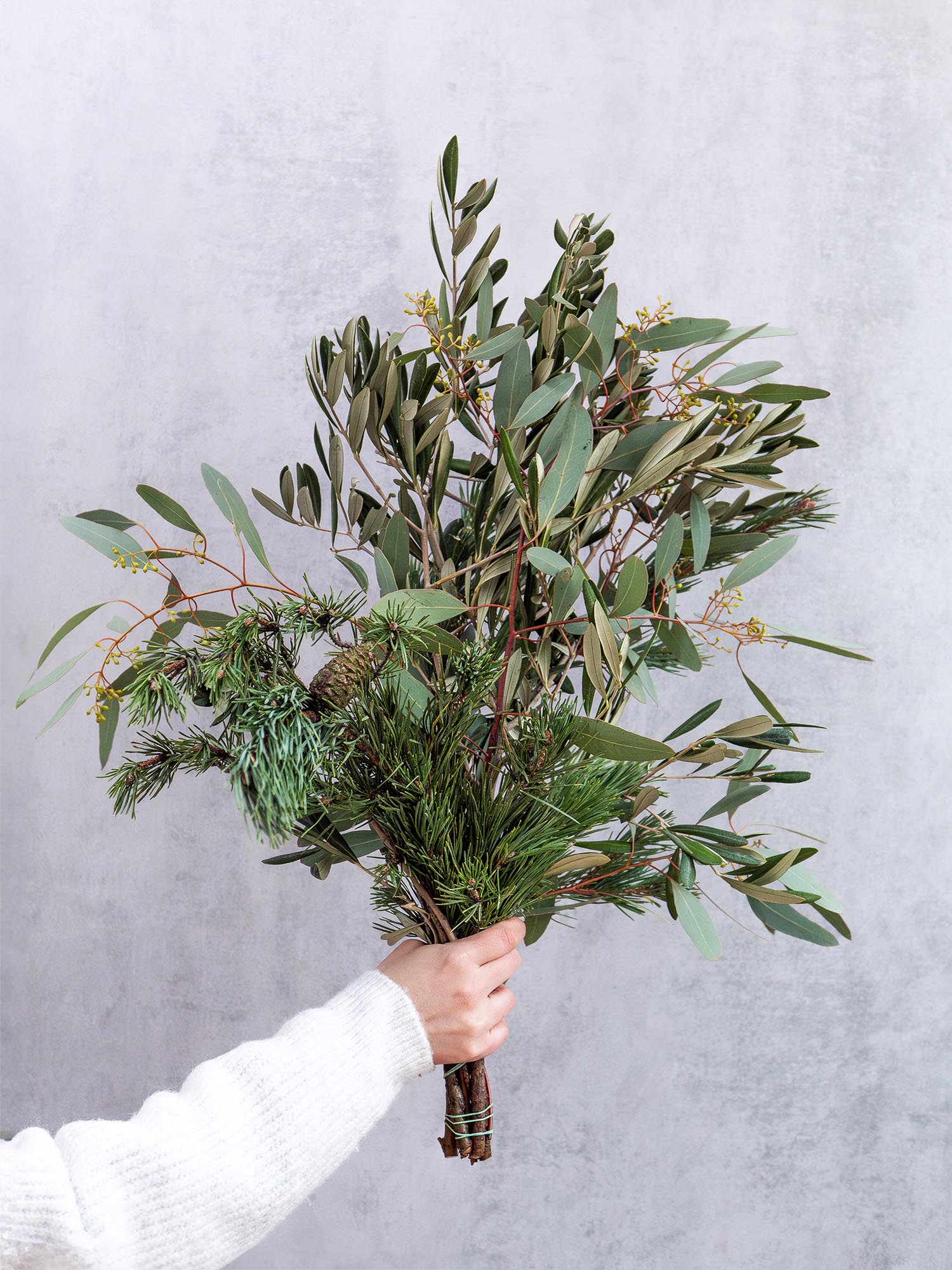 blumigo-eukalyptus-pinus-mugo-greenery-mix-bund image 1
