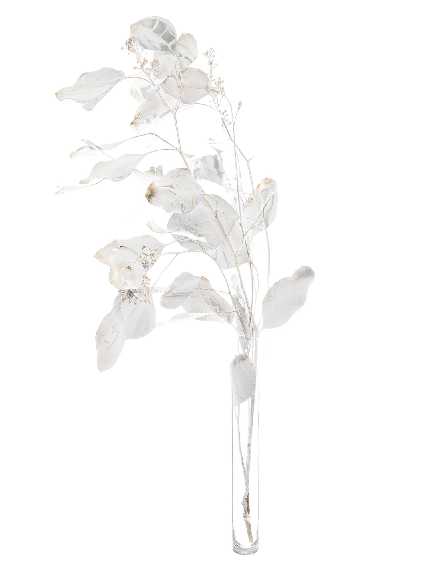 blumigo-eukalyptus-populus-mit-beeren-antik-gold image 3