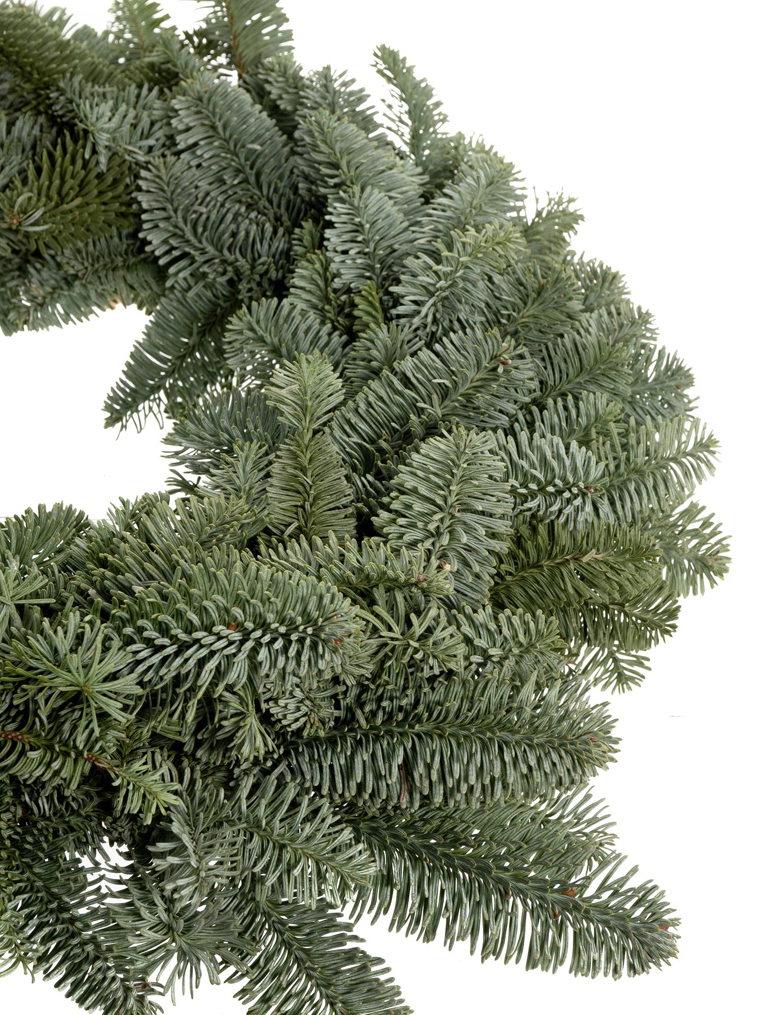 blumigo-nobilistanne-tannenkranz-30-cm-beidseitig-frisch image 6