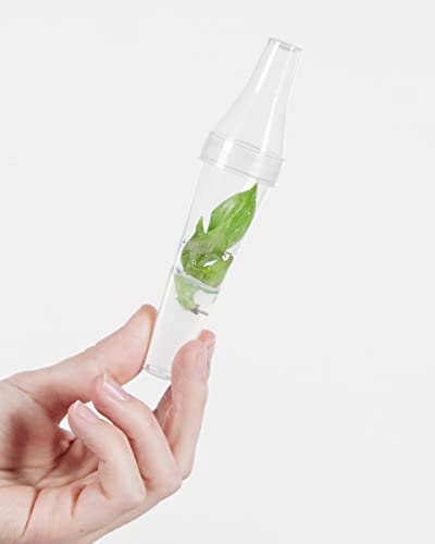 plnts-babyplnts-philodendron-mcdowell-babypflanze-13cm-luftreinigend image 5