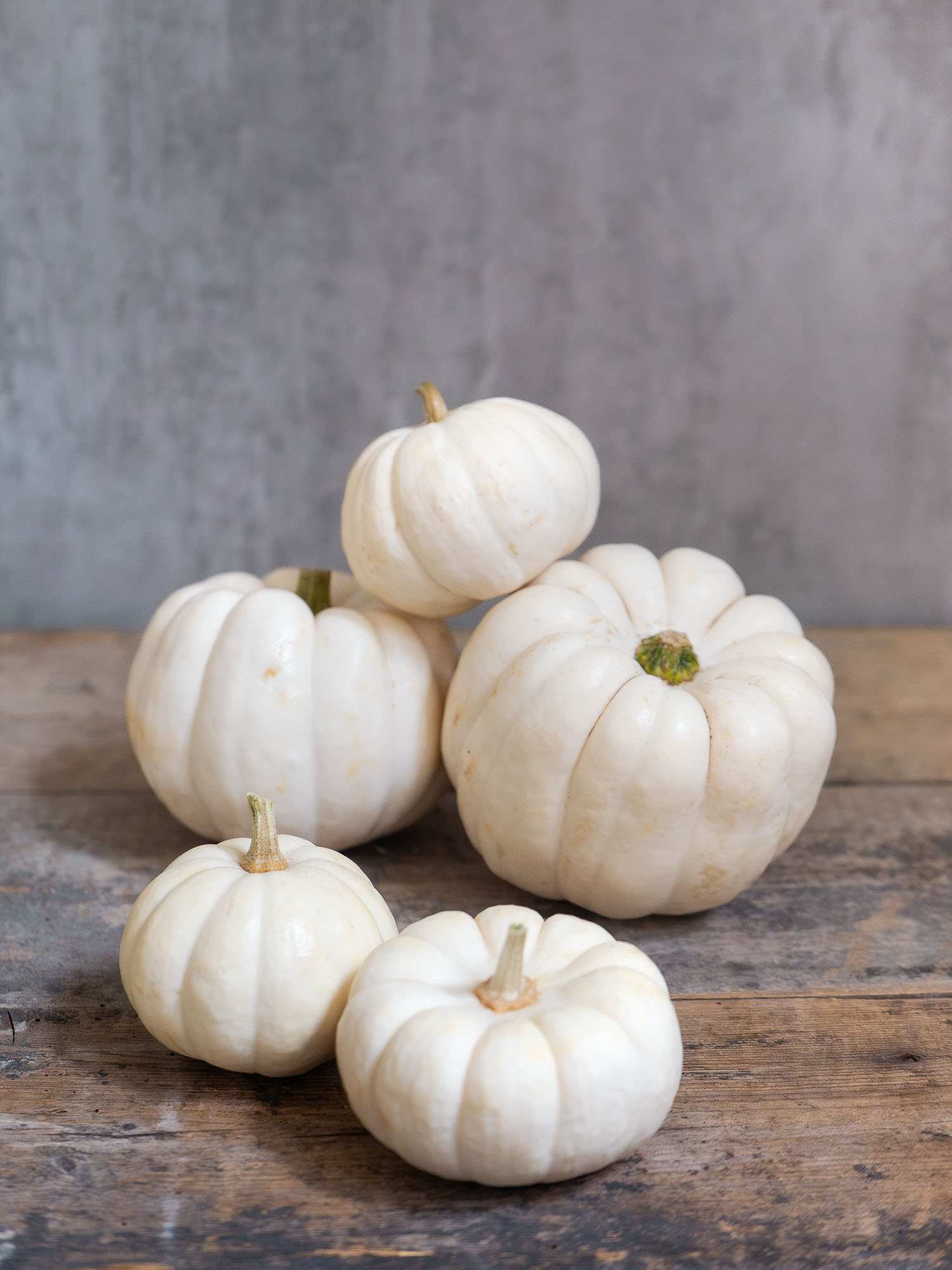blumigo-herbstdeko-zierk-rbis-baby-boo-wei-creme-klein image 3