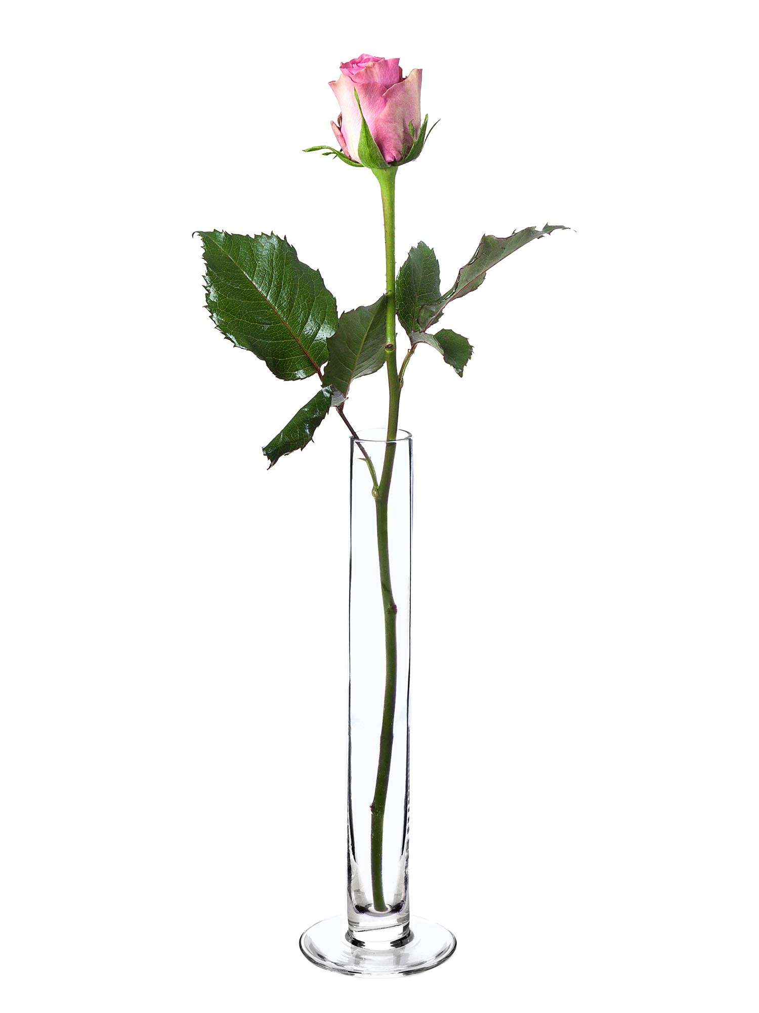blumigo-vasen-glasvase-mirjam-schlank-mit-fuss image 4