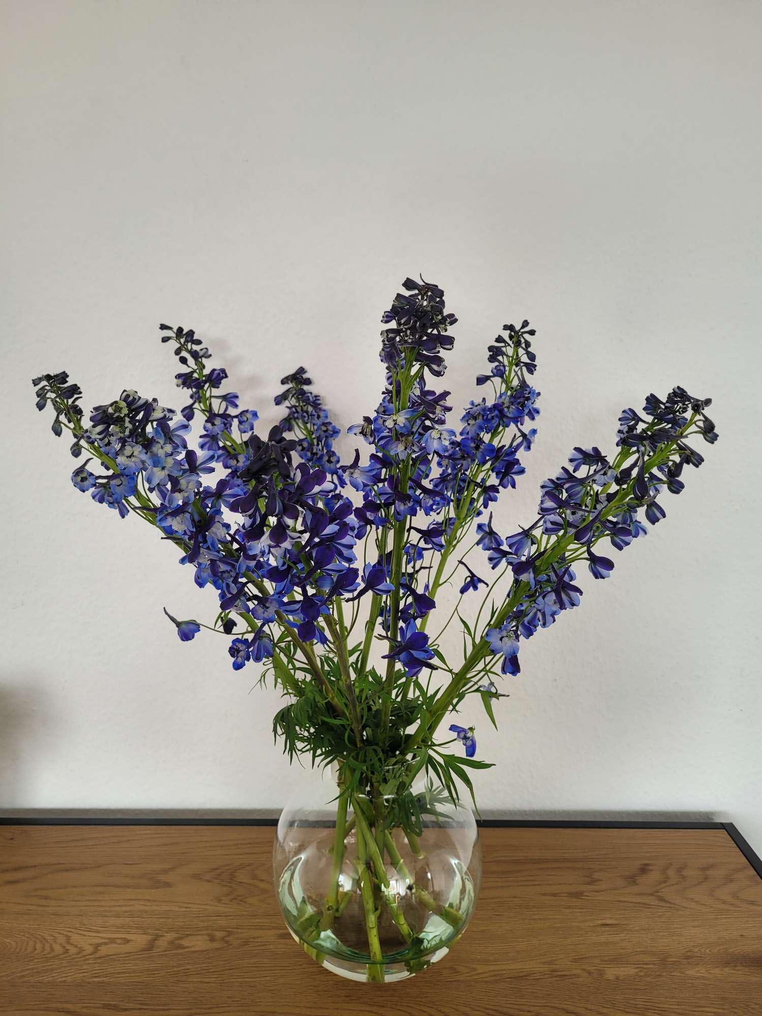 blumigo-l-wenm-ulchen-rittersporn-donna-schnittblume-blau image 2