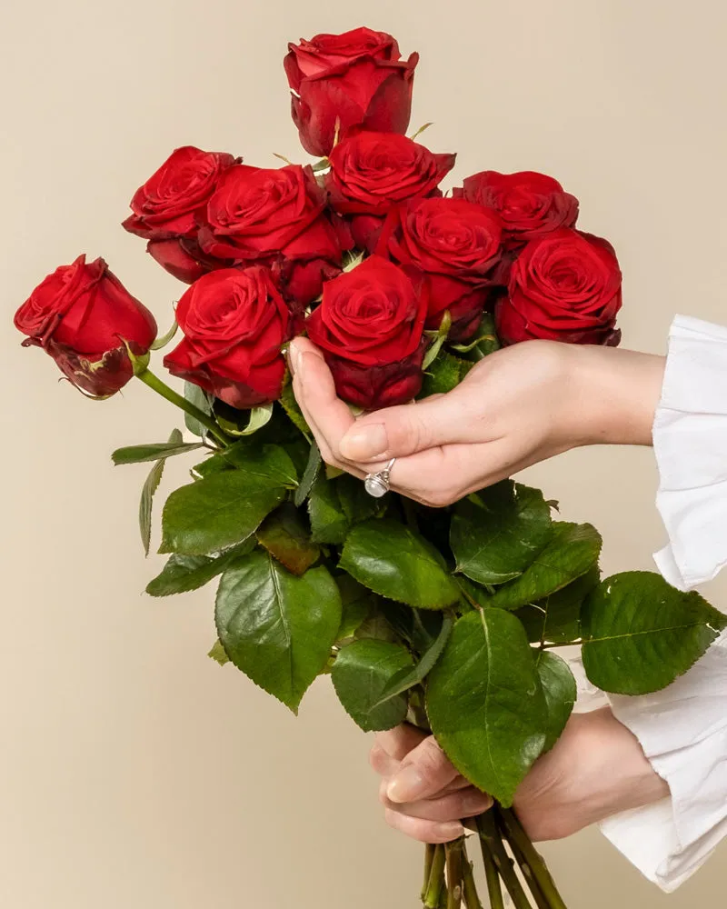 rilio-rote-rosen-5-stk-frischer-rosenstrauss image 1