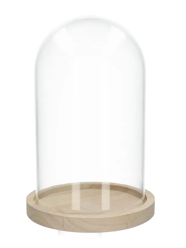 blumigo-vasen-glasglocke-gro-17x25-cm-glashaube image 1