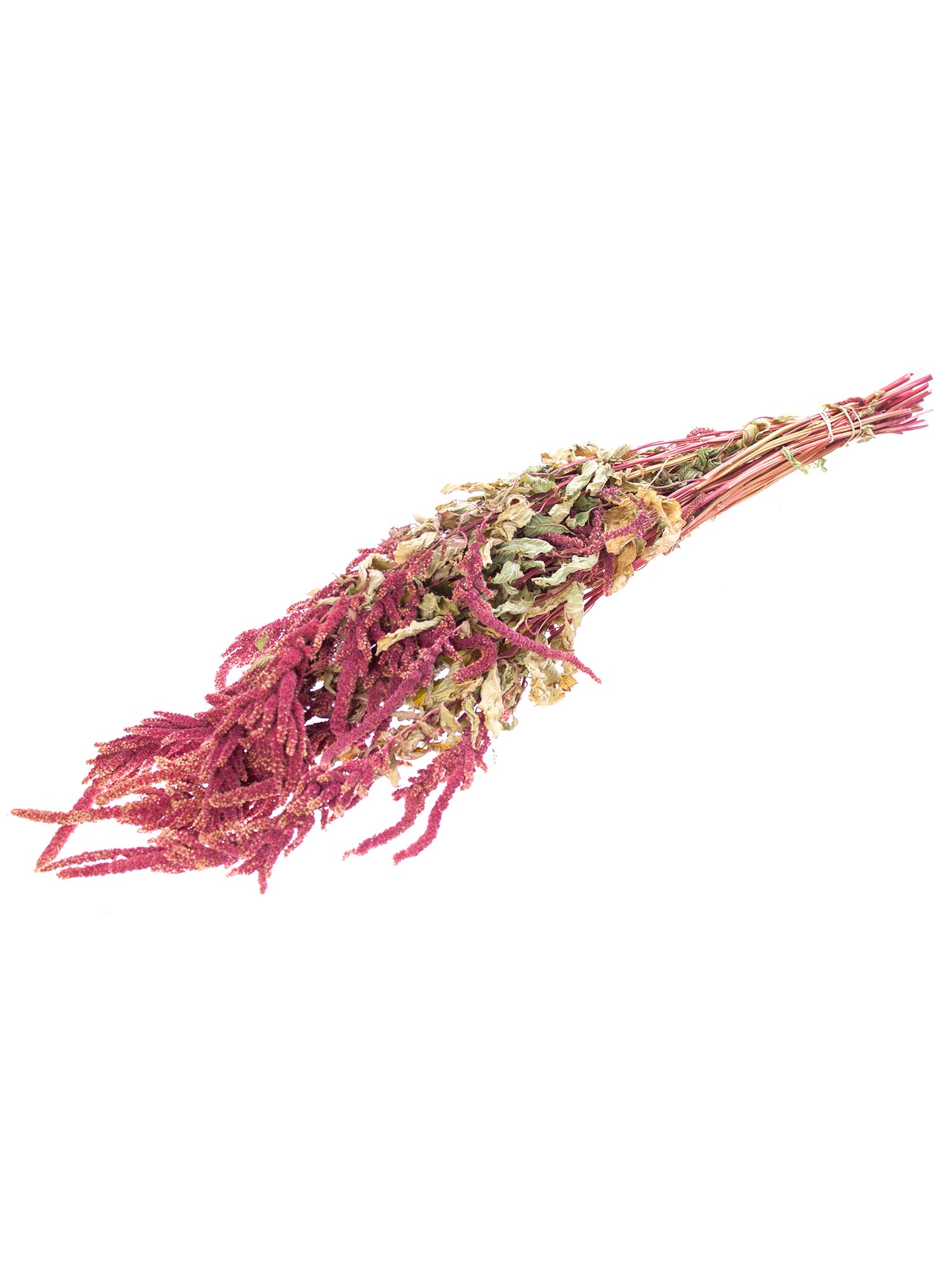 blumigo-trockenblumen-amaranthus-trockenstrau-rot-pink image 2