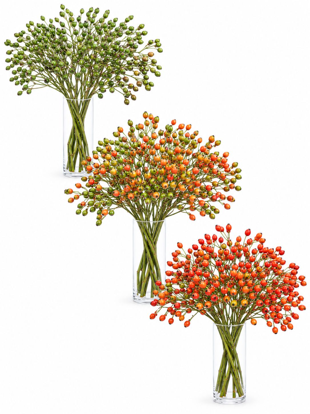 blumigo-herbstdeko-plenty-hagebutte-gr-n-orange image 3