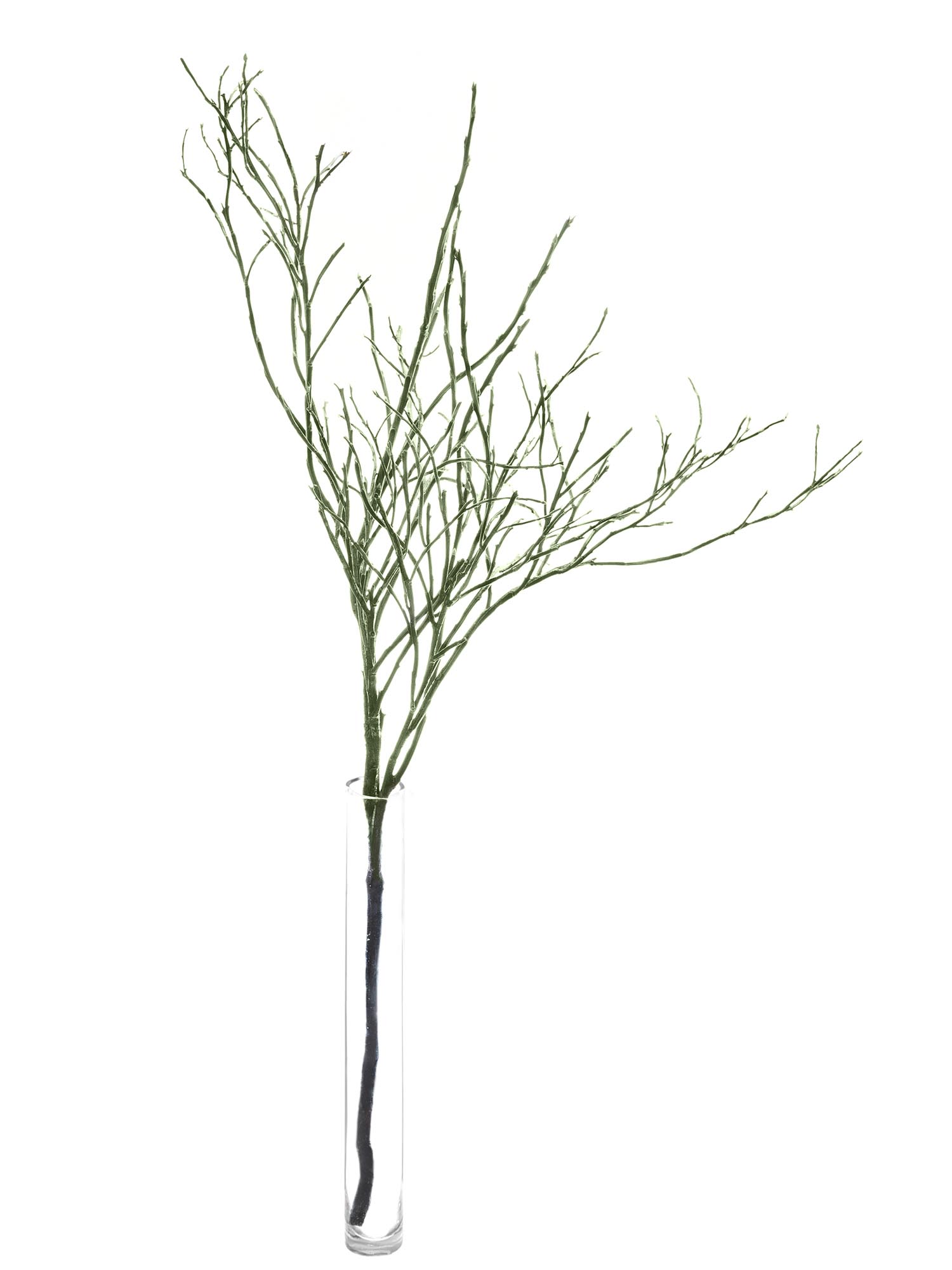 blumigo-blattwerk-heidelbeergr-n-bindegr-n-frisch-geschnitten image 4