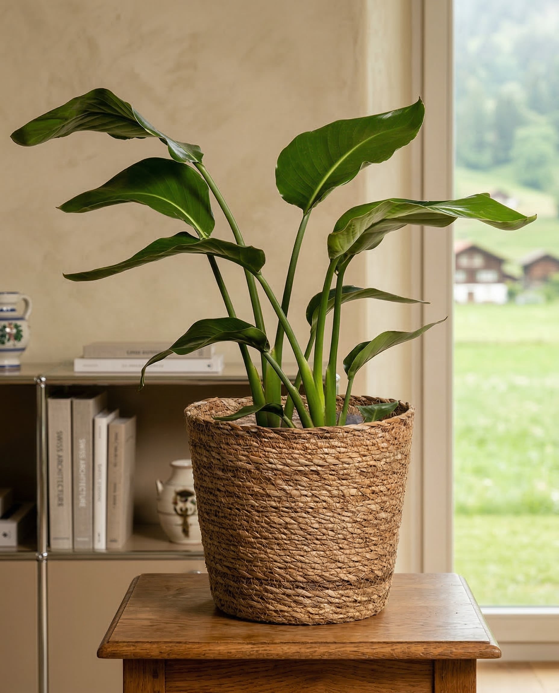 feey-kesat-pflanzkorb-seegras-22-cm-naturbelassen image 7