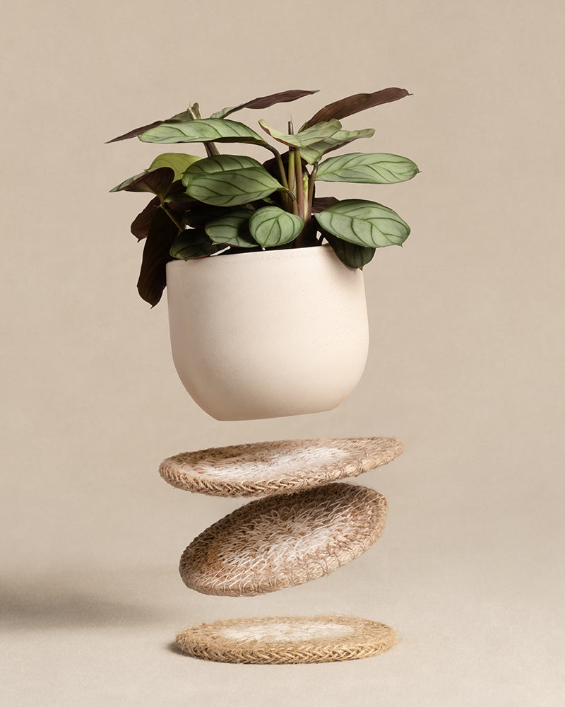 feey-variado-carpito-babypflanzen-untersetzer-jute-3-stk image 2
