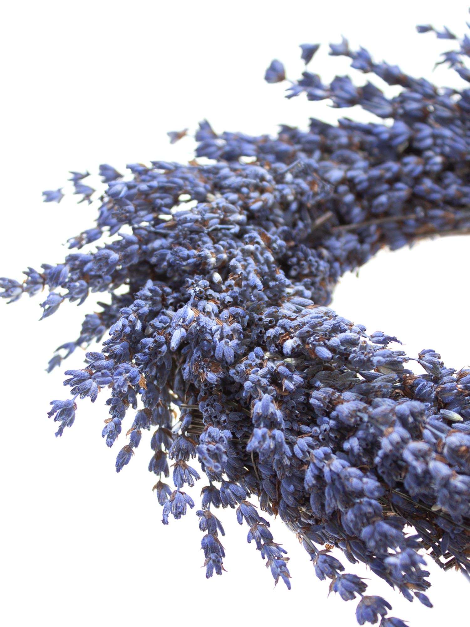 blumigo-trockenblumen-zierkranz-getrockneter-lavendel image 2
