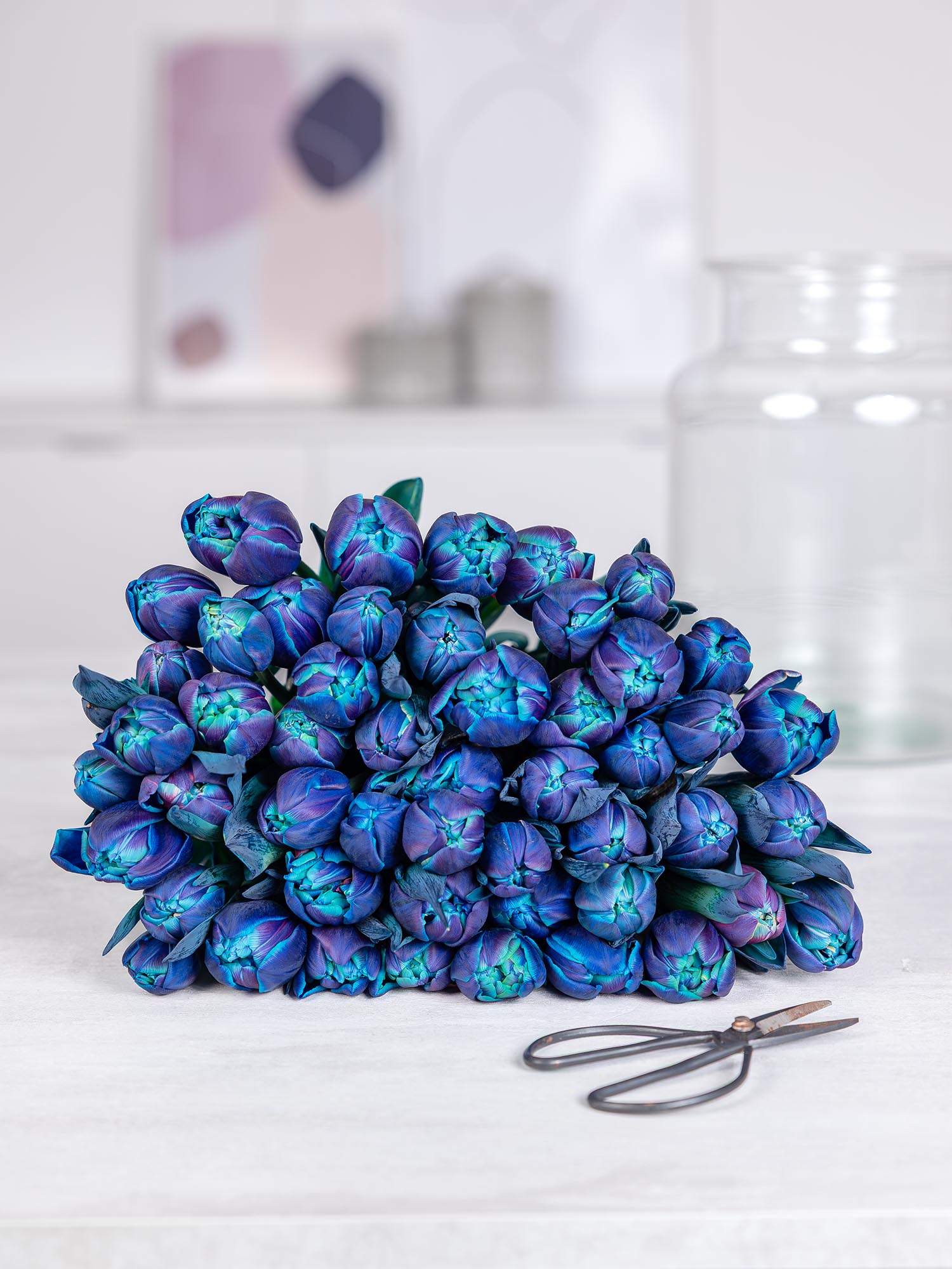 blumigo-tulpen-double-bubble-gef-llte-tulpen-blau image 4