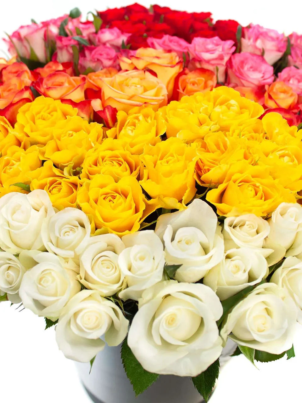 blumigo-berraschungsmix-midi-rosen-100-st-ck-gemischt image 1
