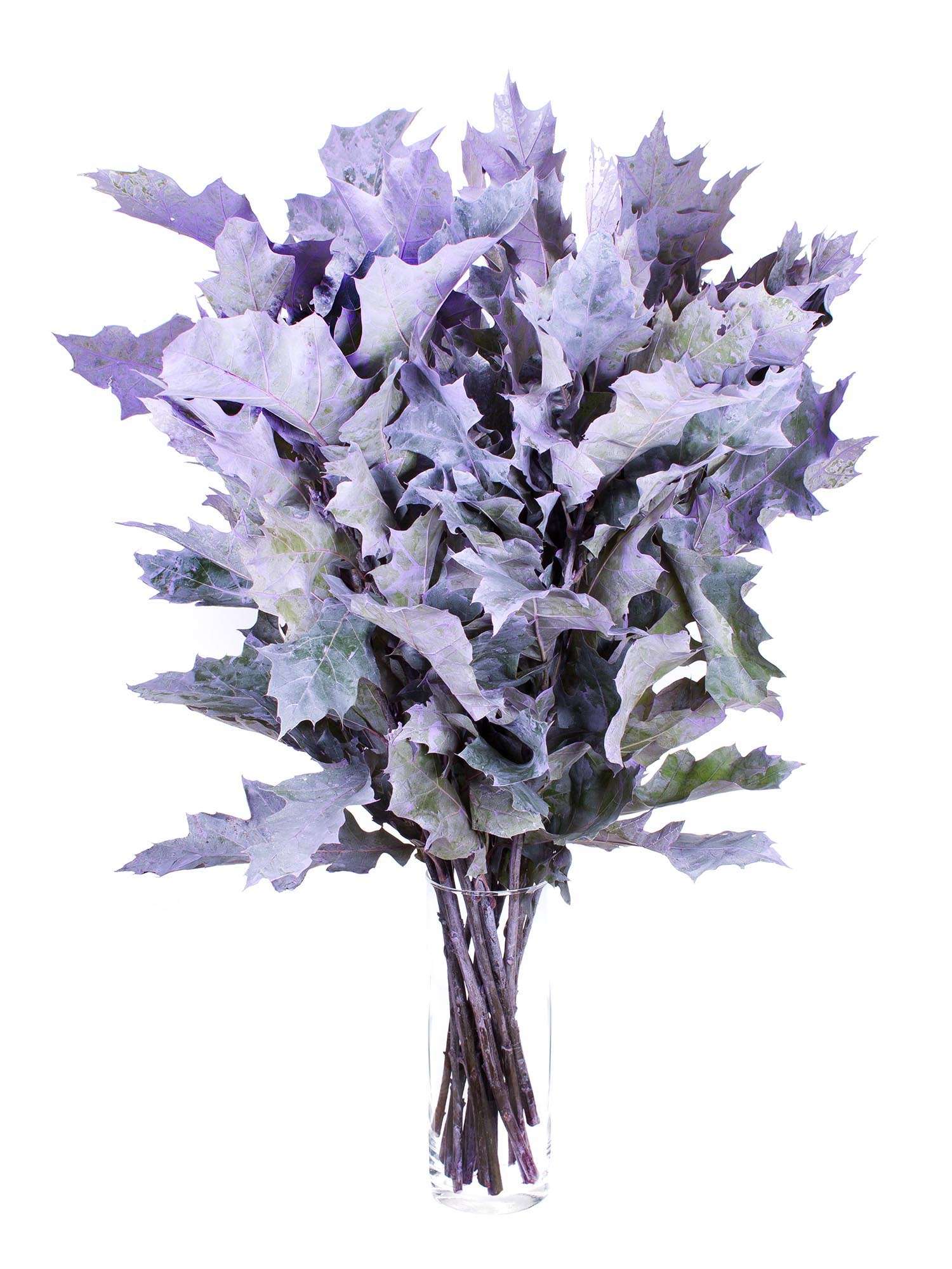 blumigo-bindegr-n-eichenbl-tter-violett-painted-deko image 2