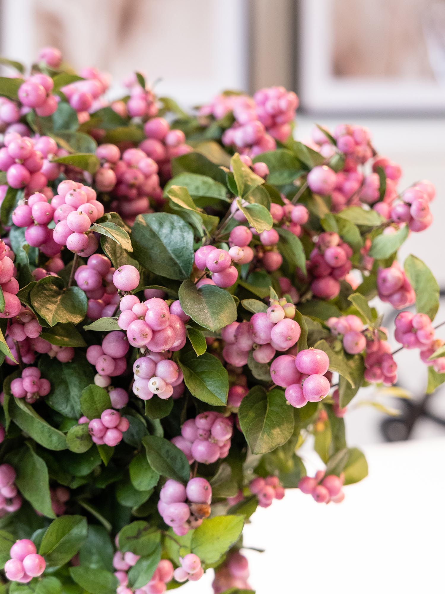 blumigo-magical-pride-schneebeeren-pink-frisches-greenery image 3