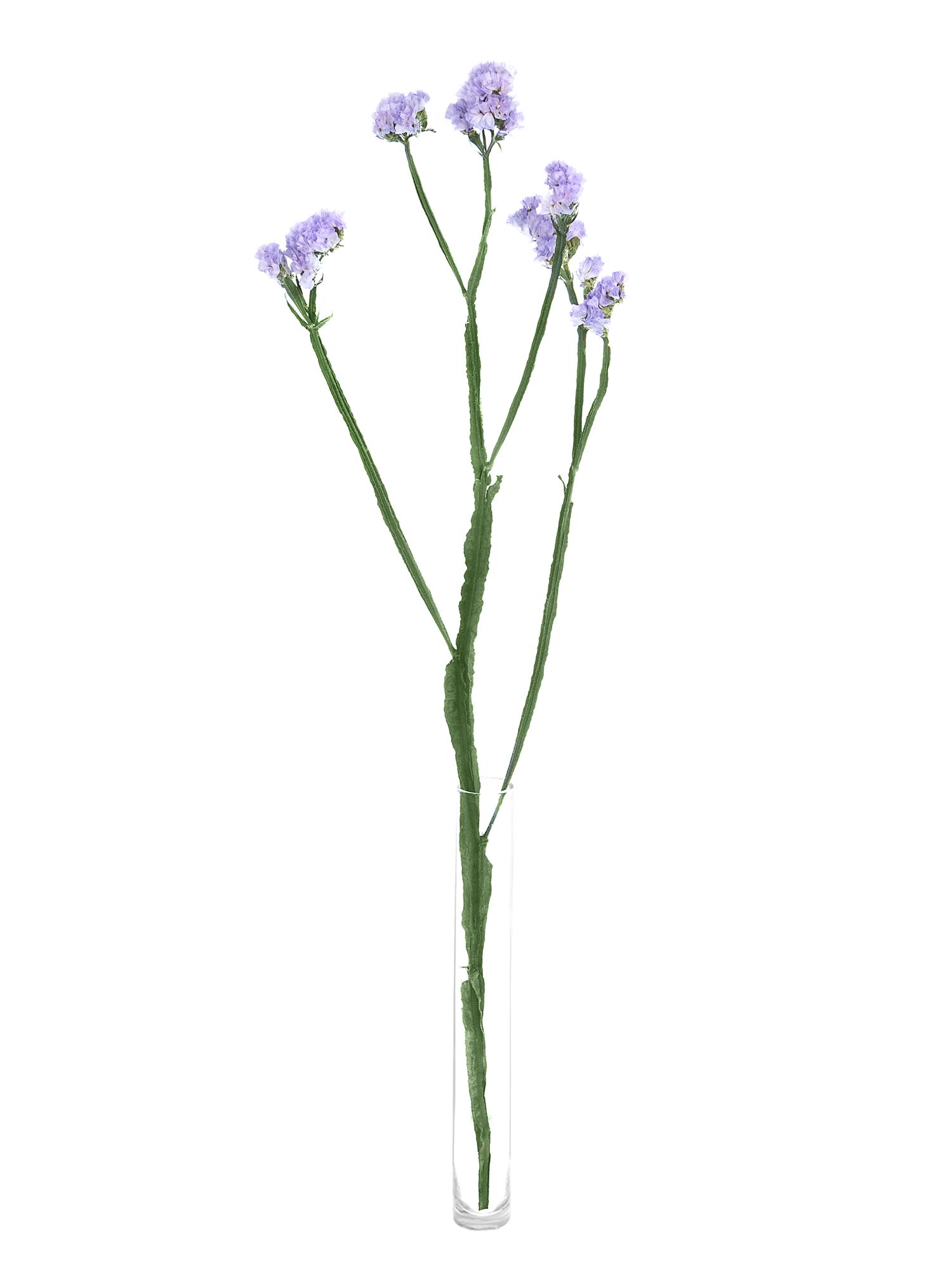 blumigo-blattwerk-strandflieder-donau-birds-schnittblume-hell-violett image 3