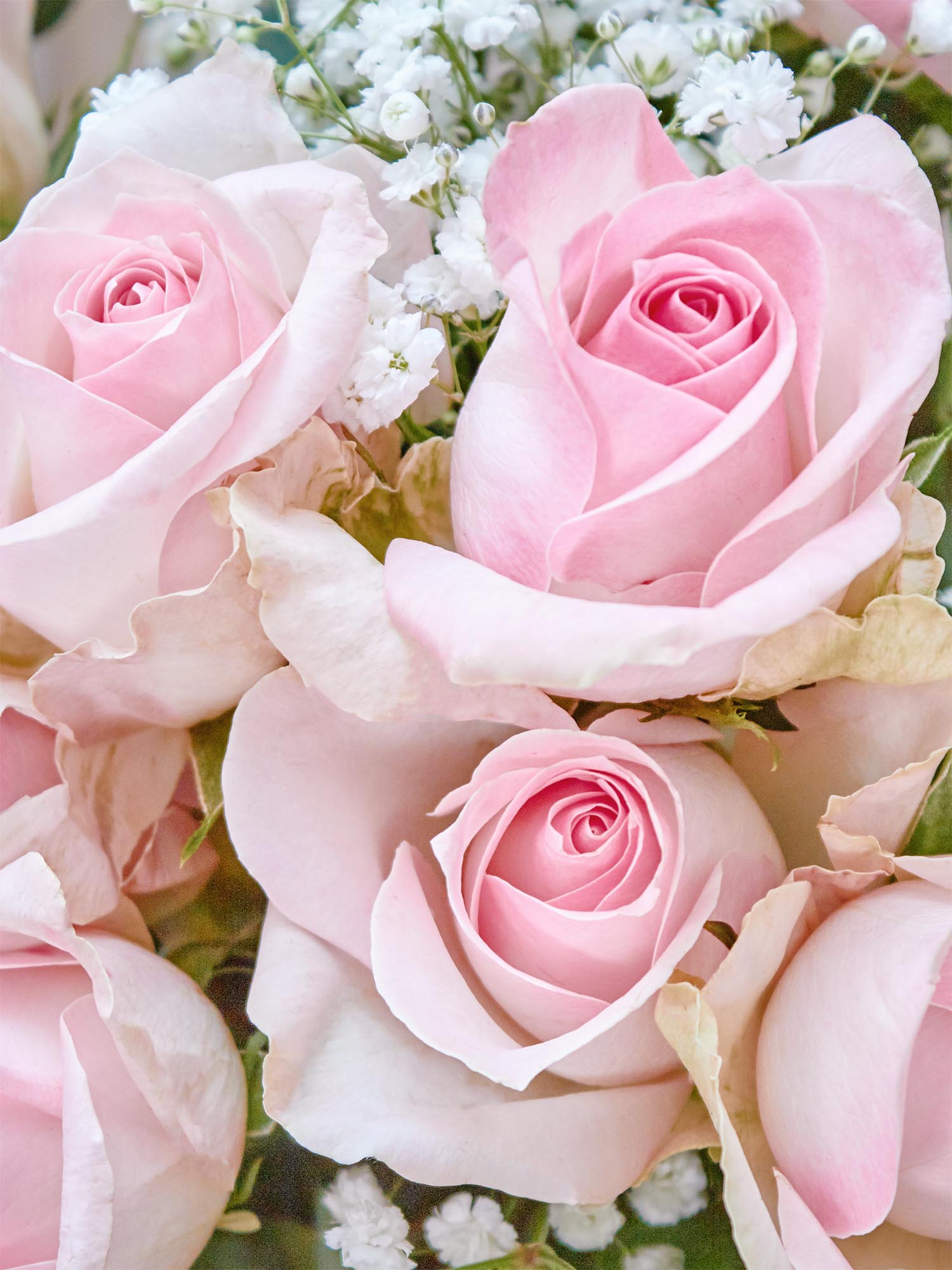 blumigo-romantic-dream-bouquet-blumenstrau-frisch-gemischt image 3