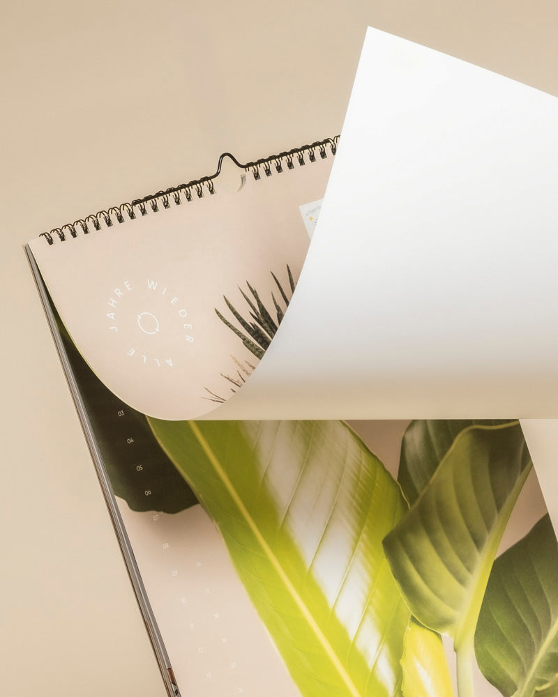 feey-lumi-pflanzenkalender-dauerkalender-a3 image 5