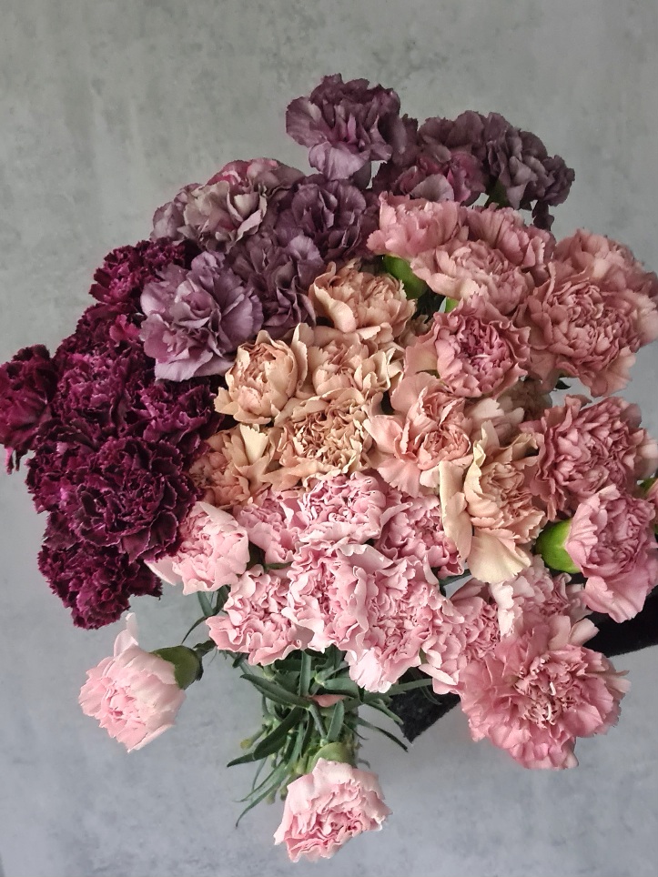 blumigo-50-edelnelken-berraschungsmix-schnittblumen-bunt image 1