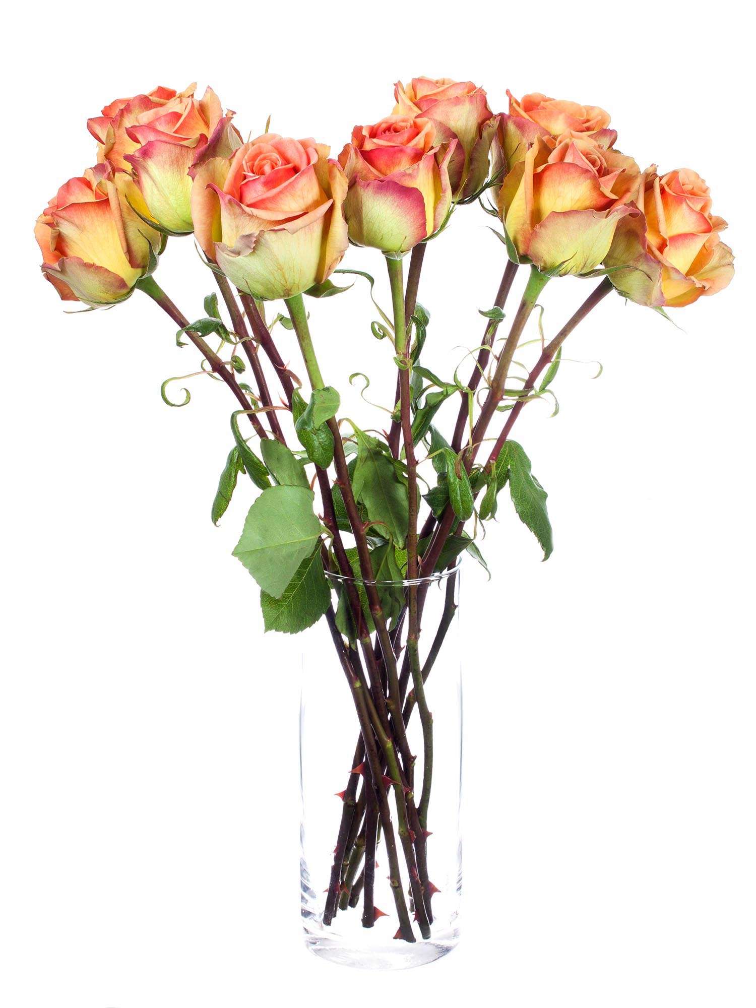 blumigo-olduvai-rosen-gelb-orange-schnittrosen image 2