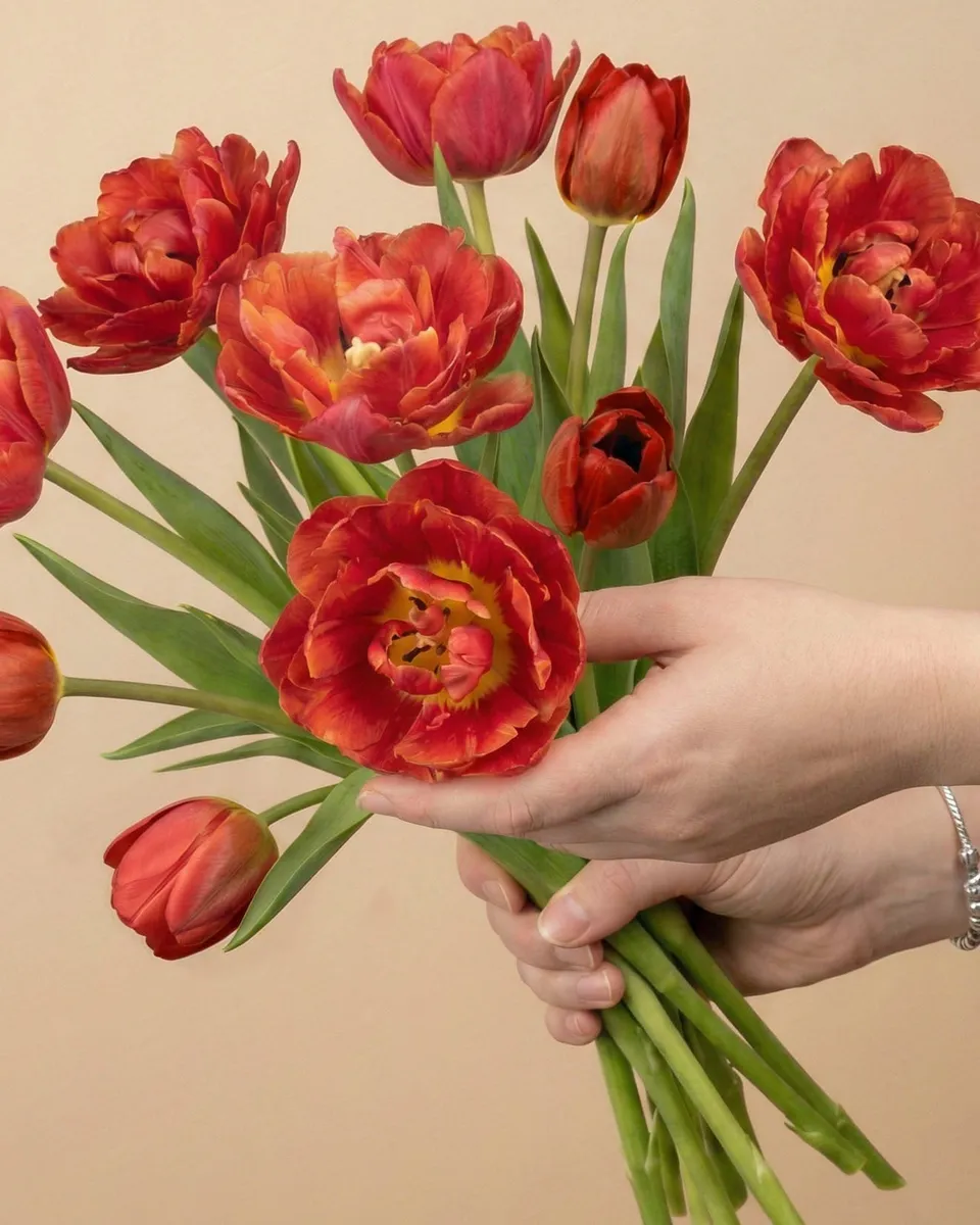 feey-rilio-tulpen-herzklopfen-10-stk-tiefrot-schnittblumen image 1