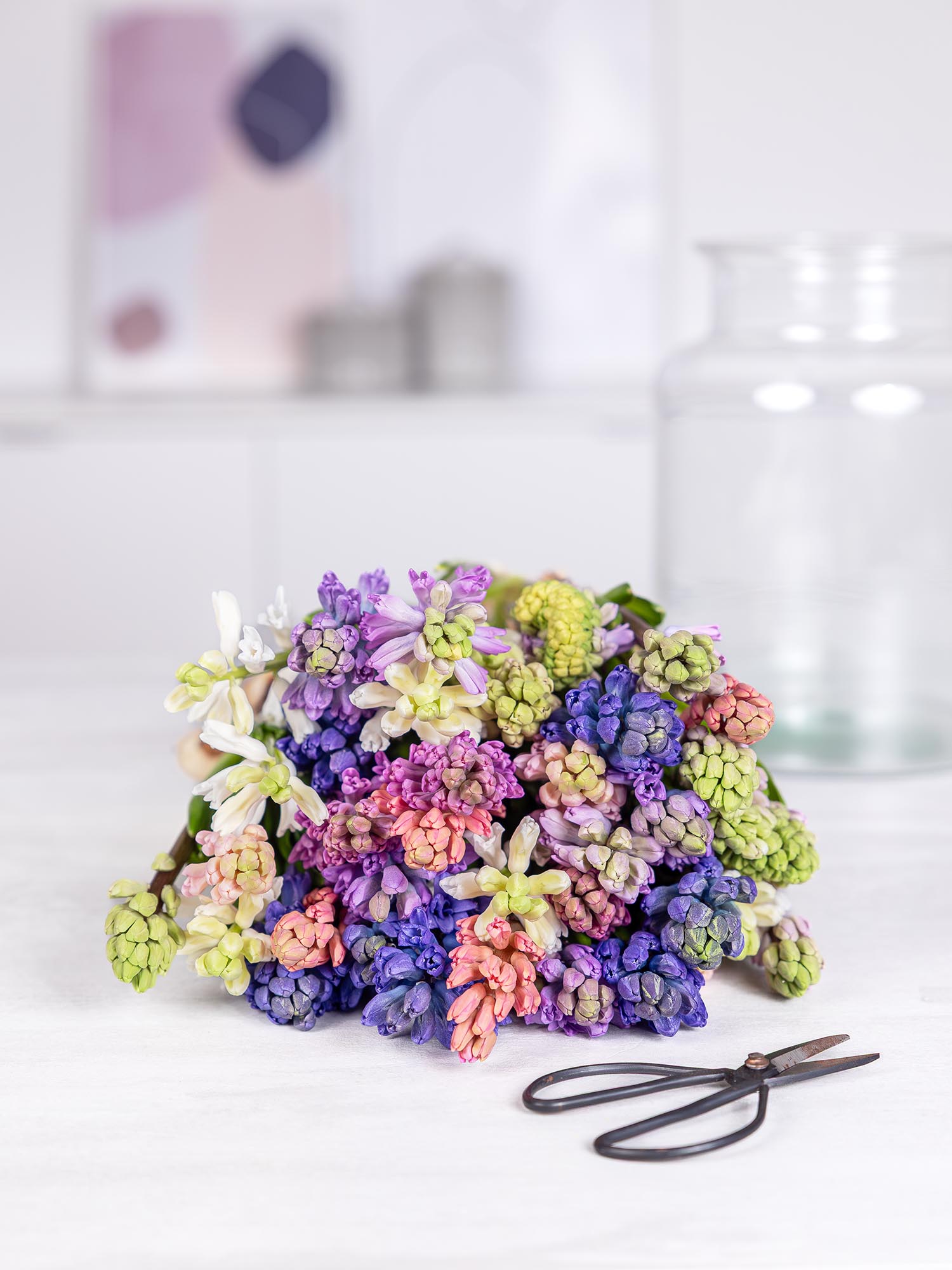 blumigo-fr-hlingsknollen-hyazinthen-bunte-mischung-blumenzwiebel image 2