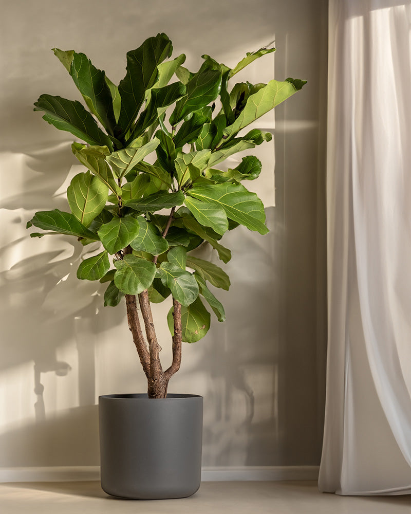 feey-lumi-blumentopf-kunststoff-wei-30-cm image 5