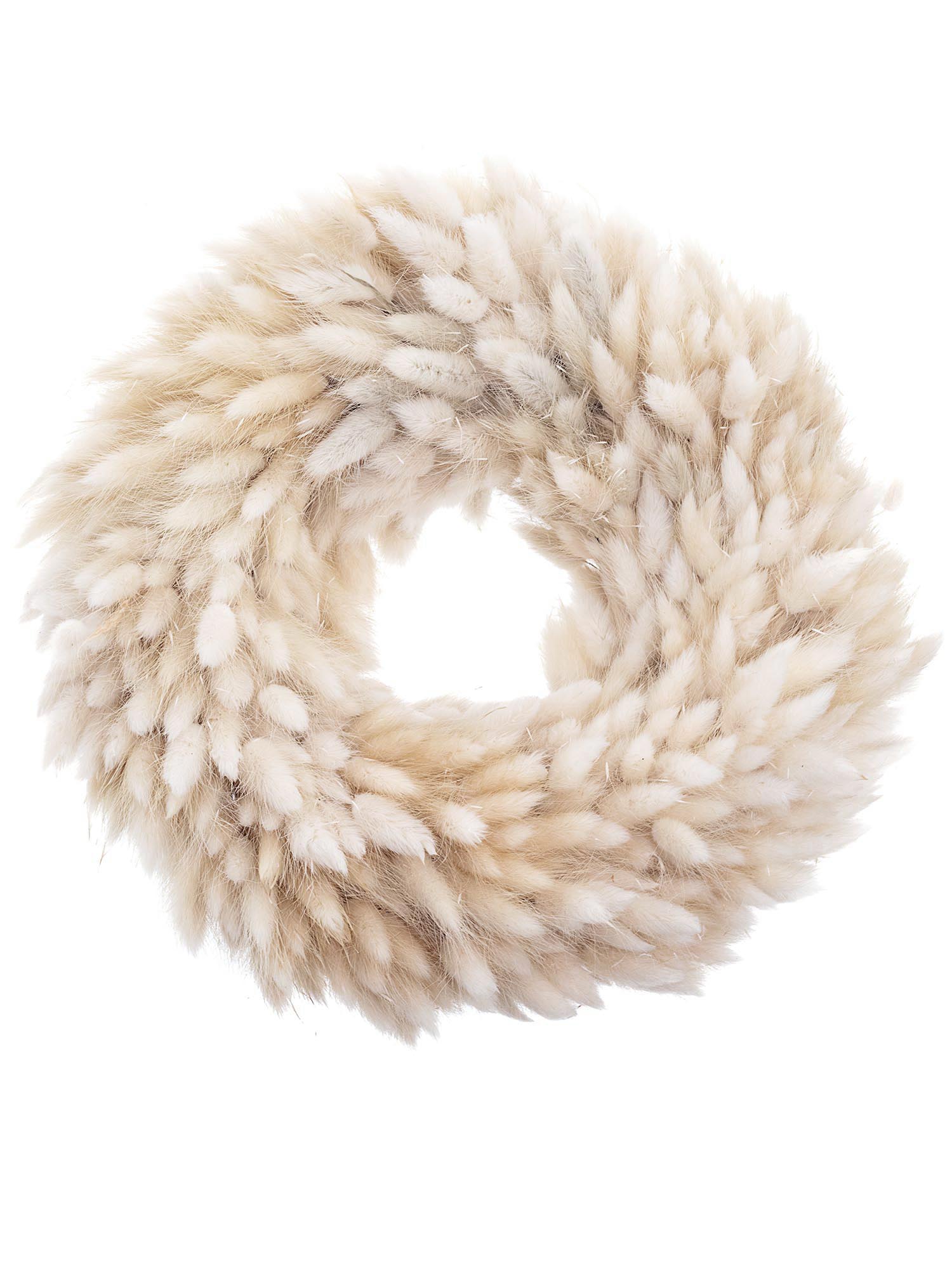 blumigo-laguruskranz-trockenblumenkranz-bleached-beige image 3