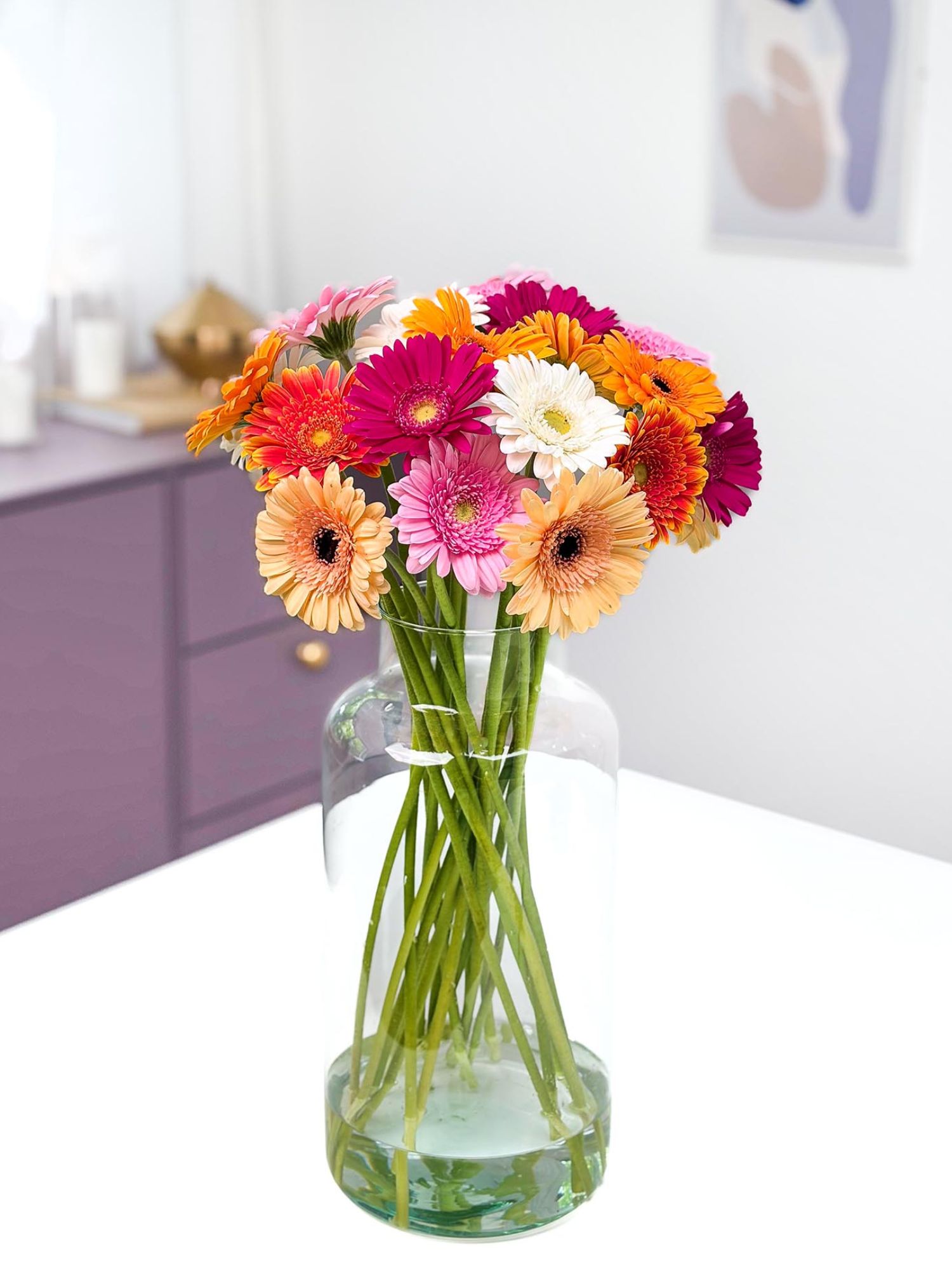 blumigo-gerbera-mini-bunte-mischung-schnittblume image 1