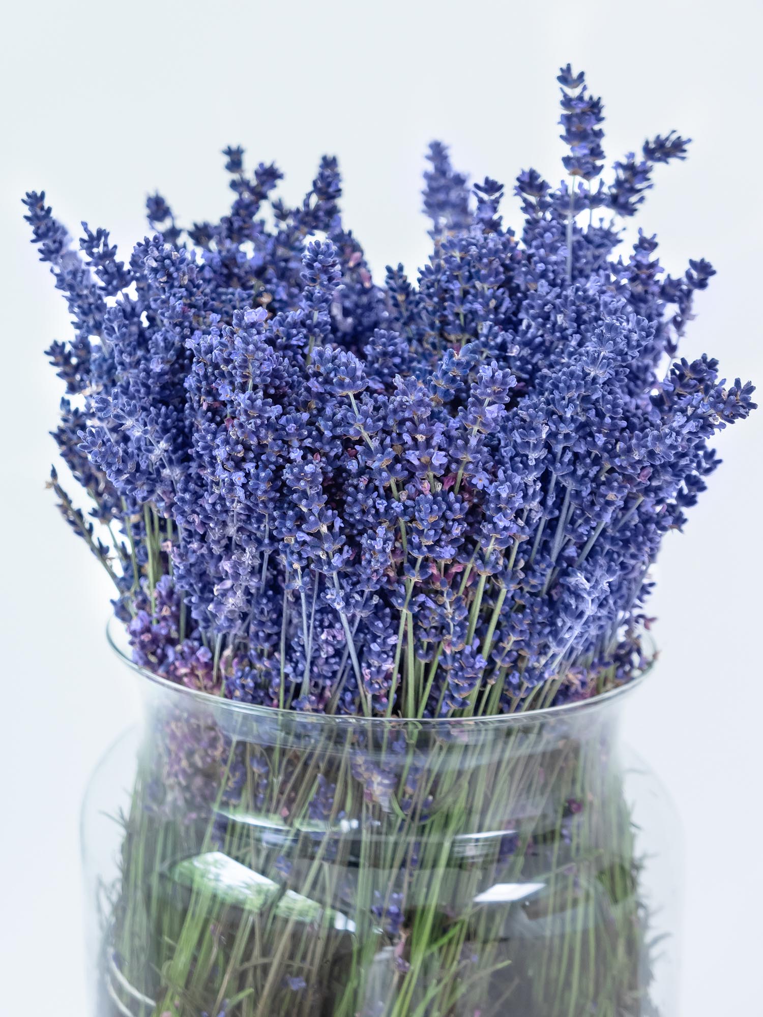 blumigo-lavendel-frisch-geschnitten-bindegr-n-bund image 4