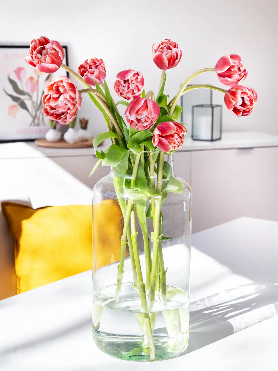 blumigo-tulpen-drumline-gef-llt-schnittblume-pink-creme-1-stiel image 1