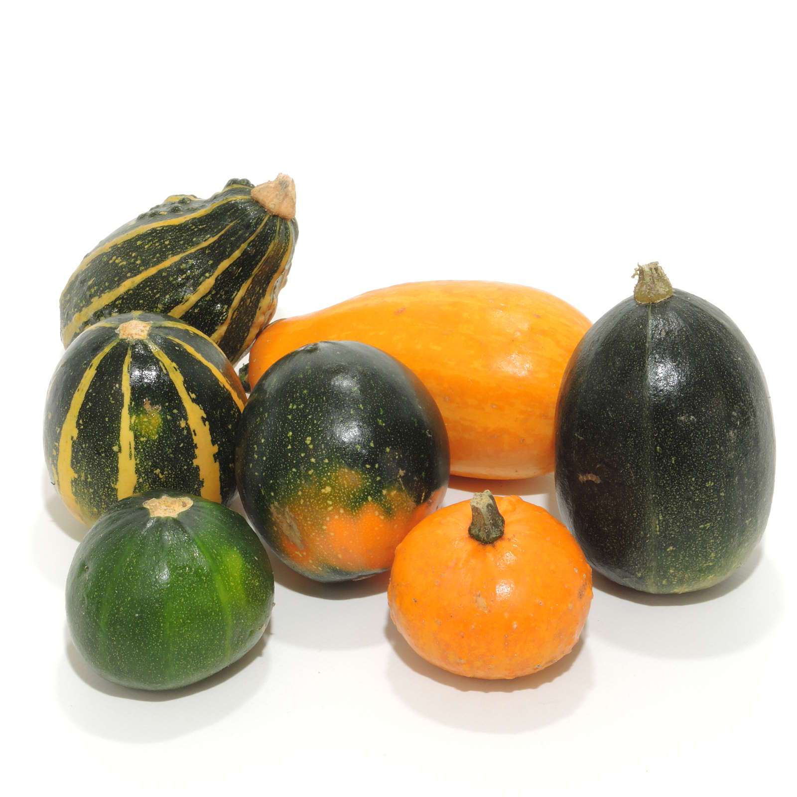 blumigo-herbstdeko-zierk-rbisse-gemischt-deko-k-rbis image 2