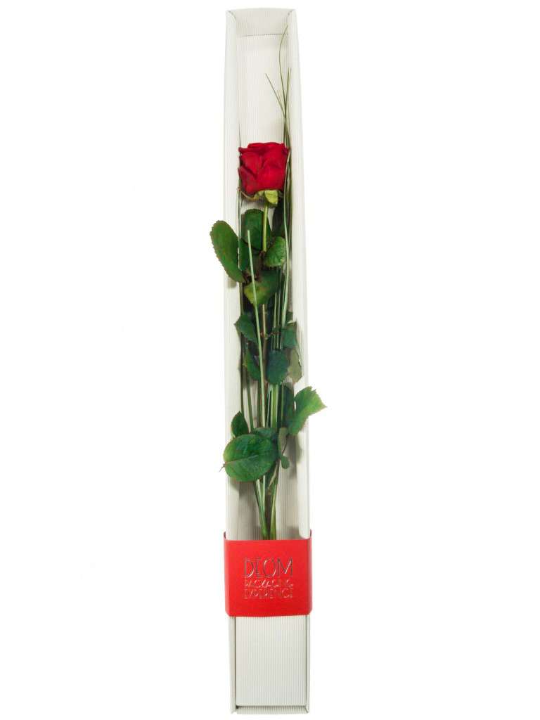 blumigo-rosen-red-naomi-rose-geschenkbox-rot image 2