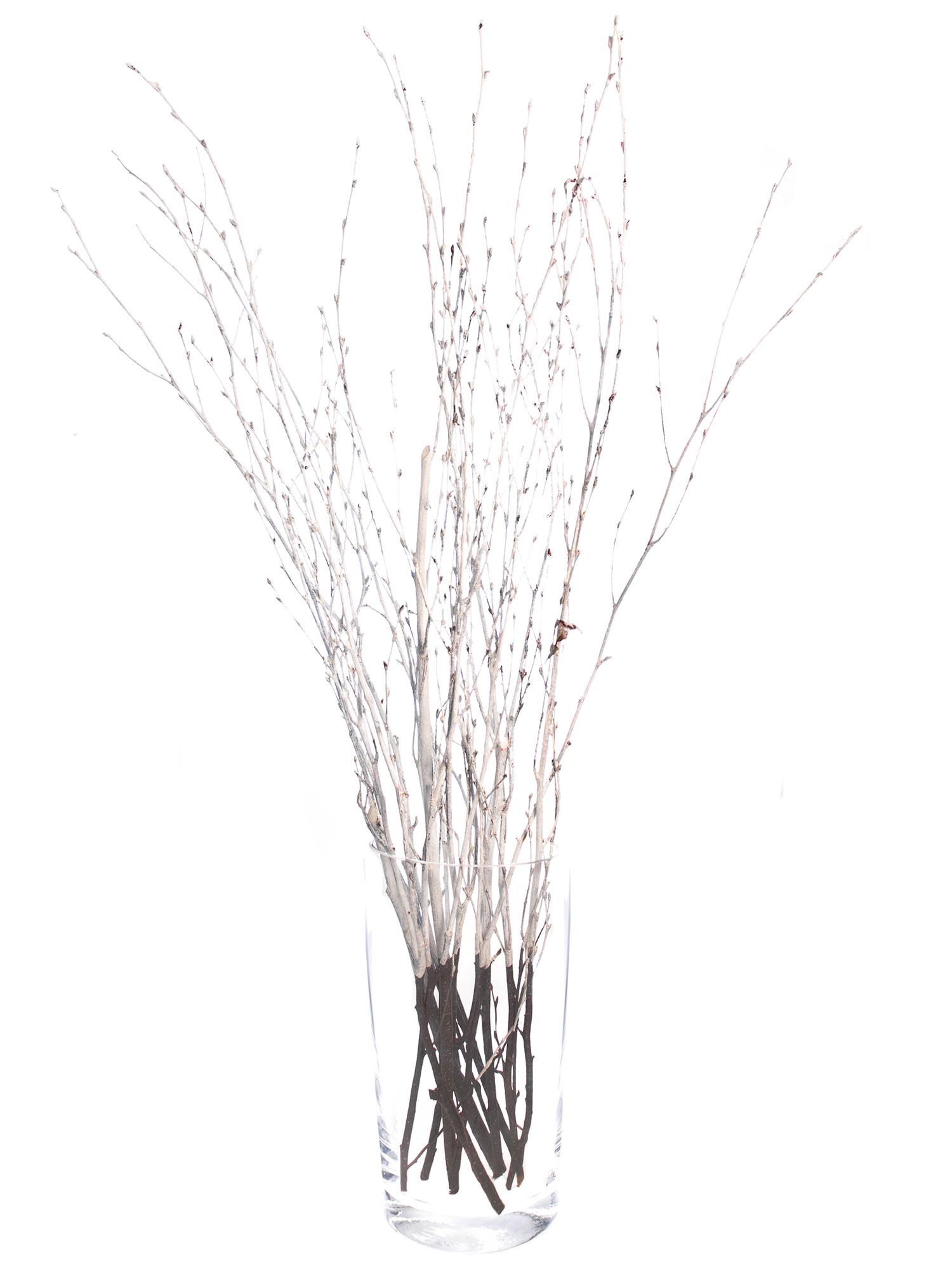 blumigo-zweige-birkenzweige-wei-gef-rbt-deko-bund image 3