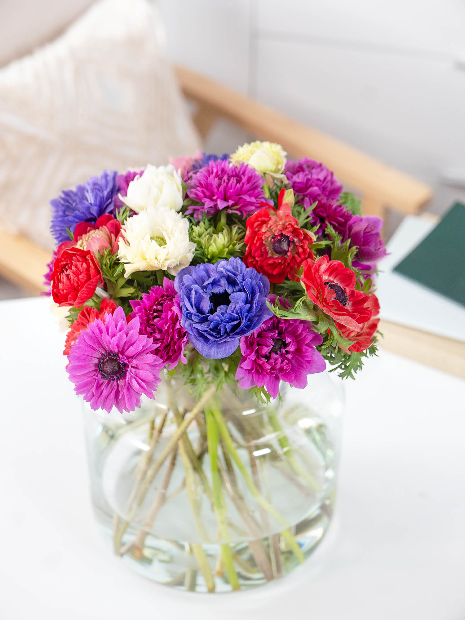 blumigo-anemonen-fullstar-mix-gemischt-schnittblumen-frisch image 3
