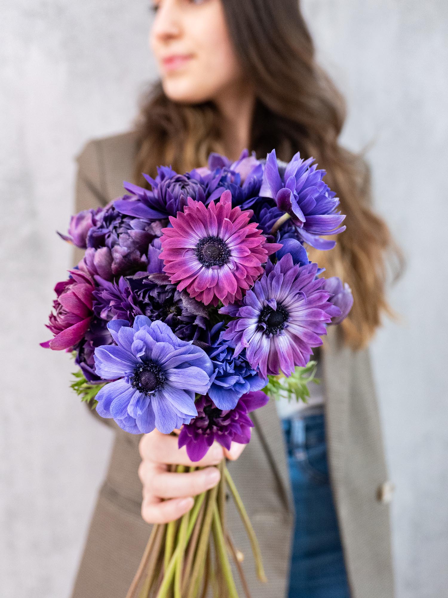 blumigo-anemonen-fullstar-jeans-schnittblumen-violett image 2