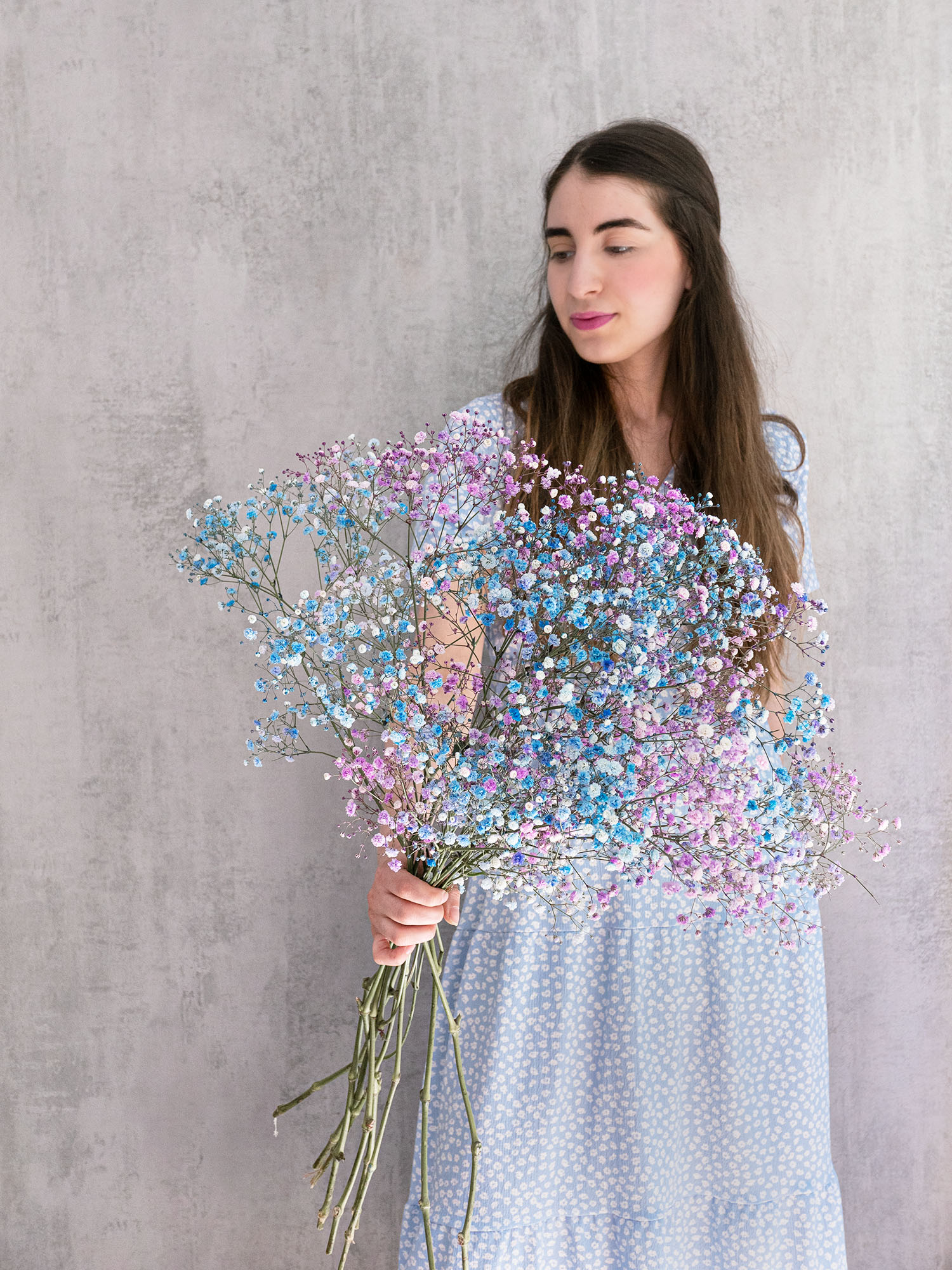 blumigo-schleierkraut-disco-detroit-violett-blau-schnittblume image 5