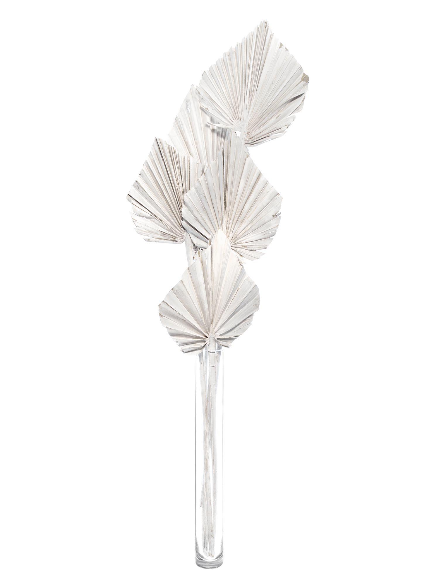 blumigo-trockenblumen-palm-spear-getrocknet-gewei-t-stiel image 2