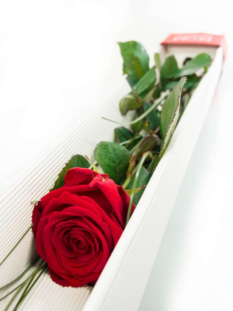 blumigo-rosen-red-naomi-rose-geschenkbox-rot image 1